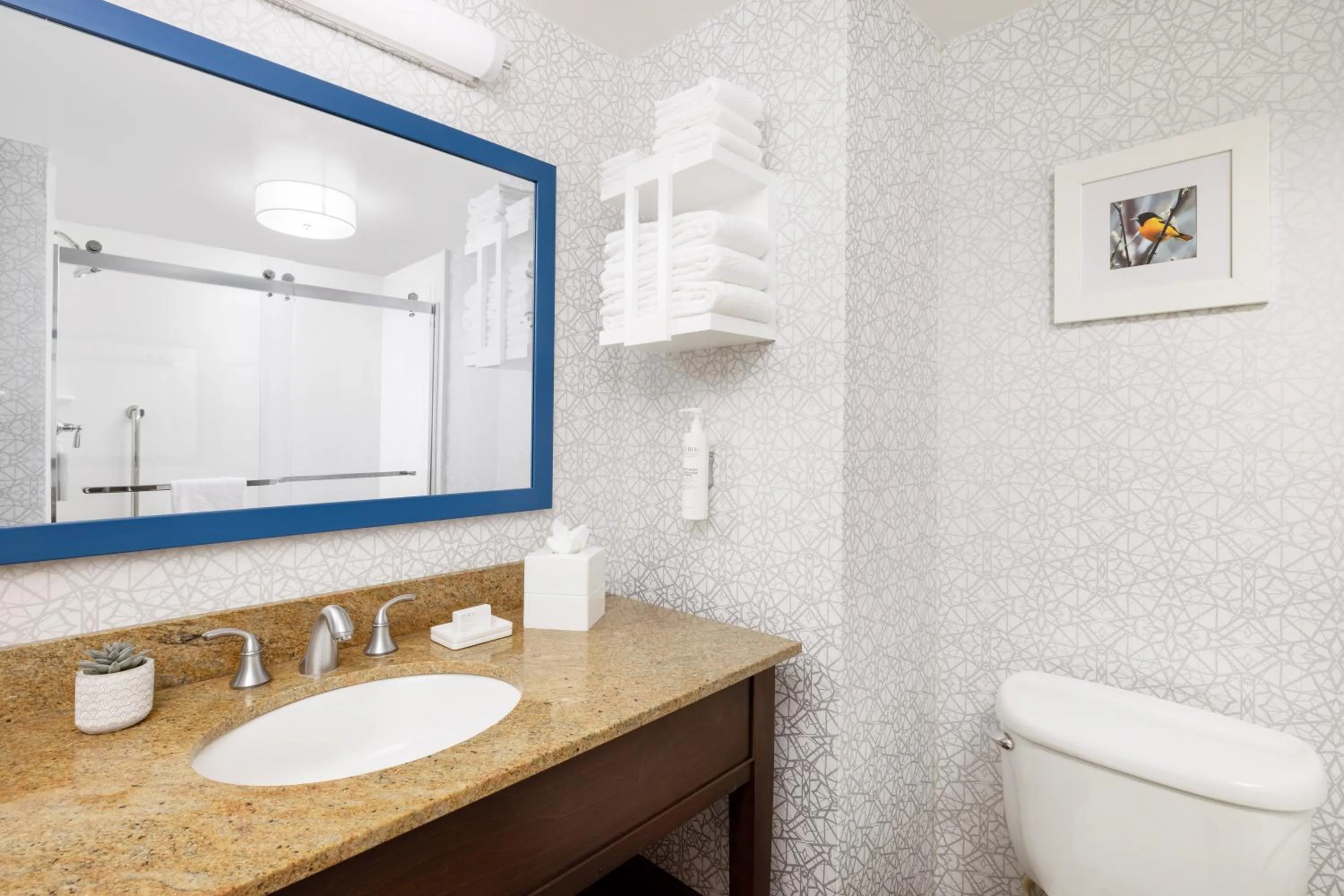 Bathroom in Hampton Inn Columbia, MD