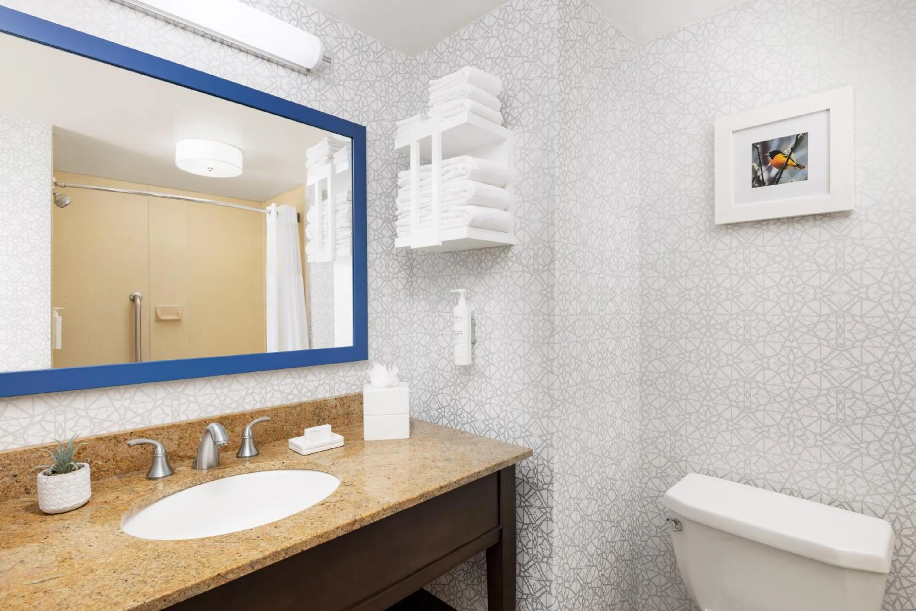 Bathroom in Hampton Inn Columbia, MD