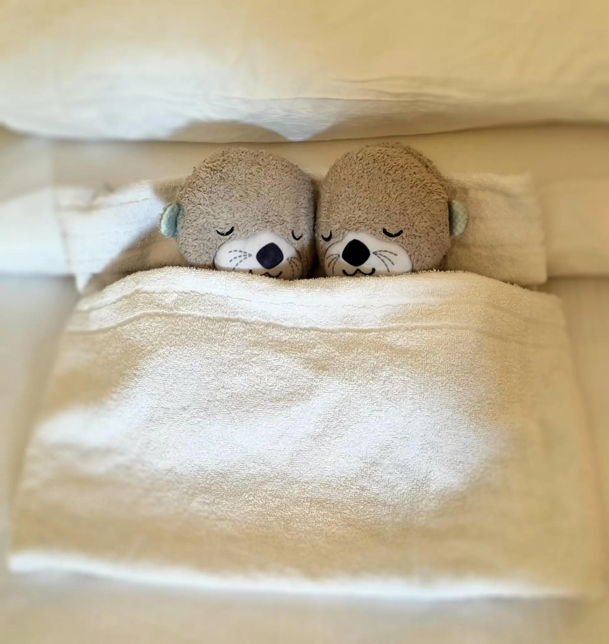 Bed in Corsaro Etna Hotel&SPA