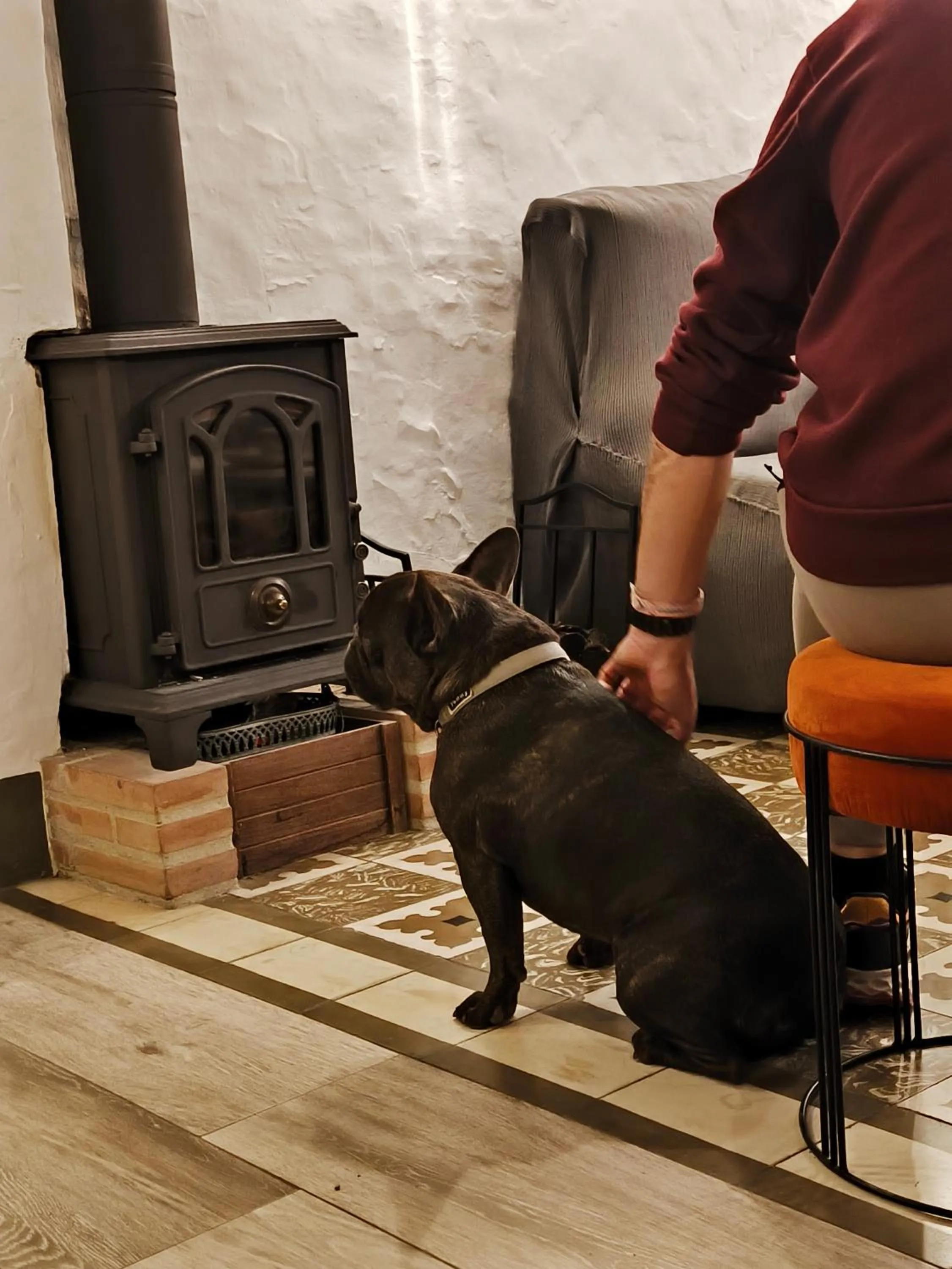 Pets in Casa Las Tinajas