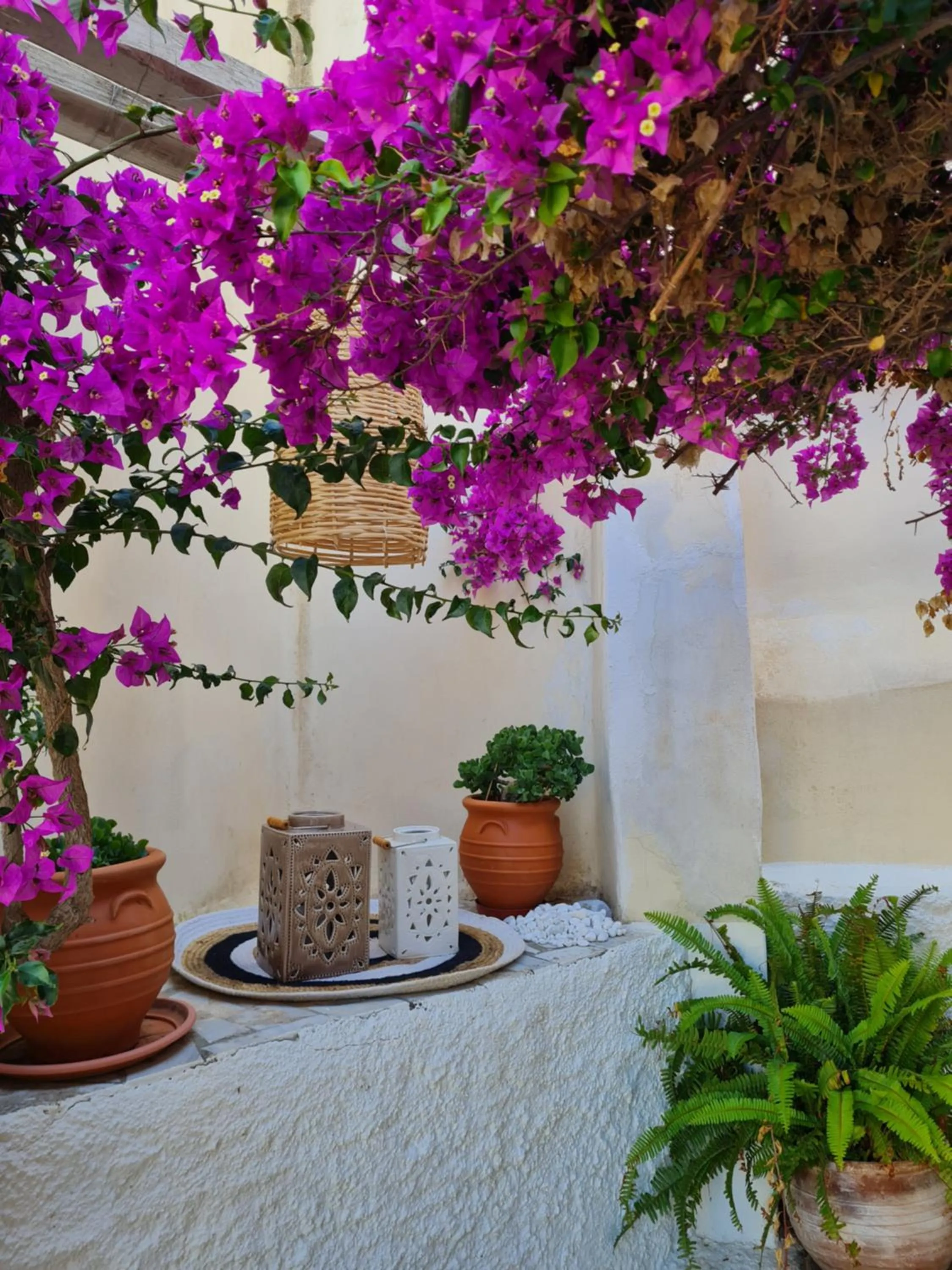 Garden in Hotel Omiros