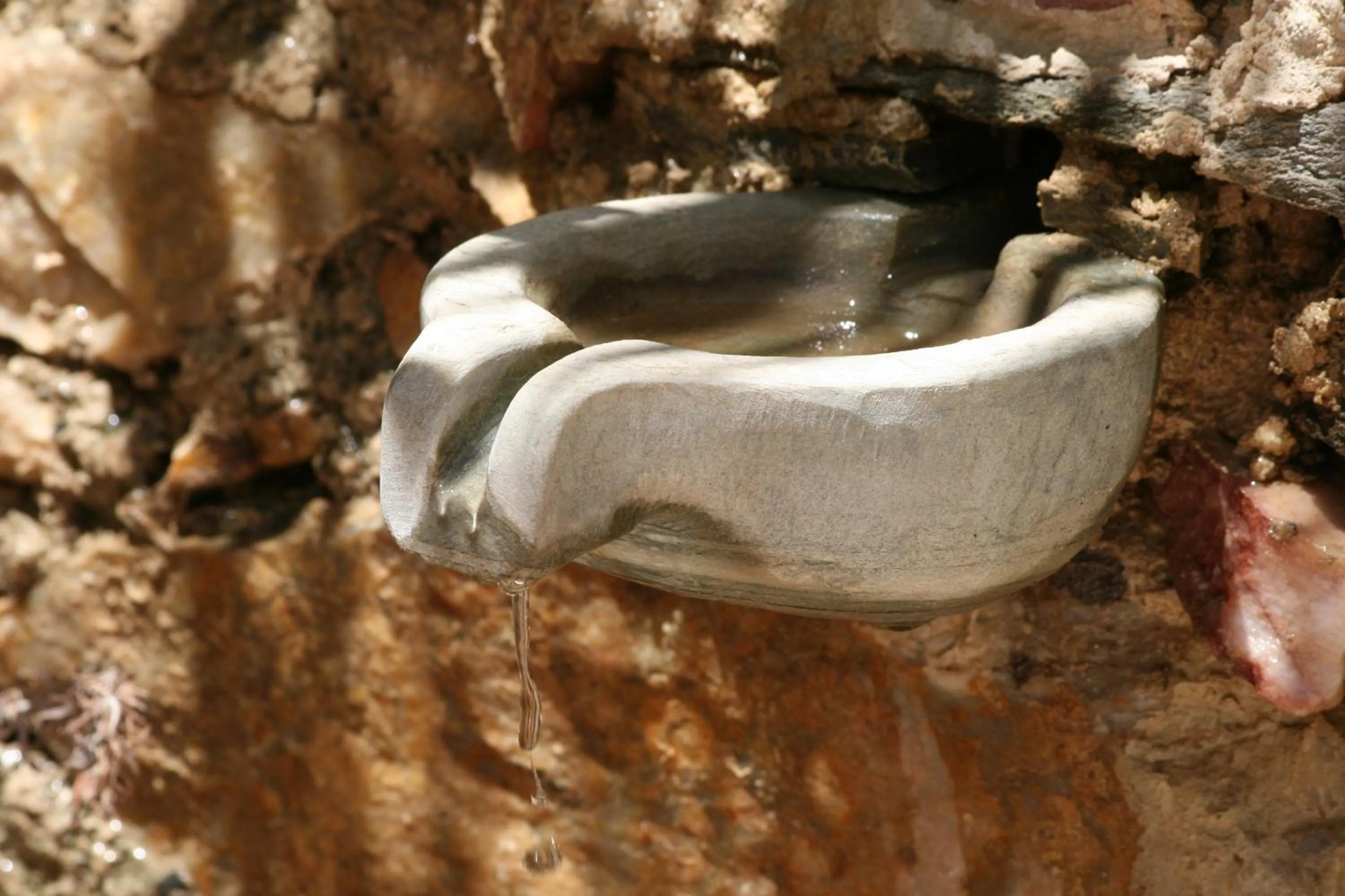 Other in Hotel Palladion