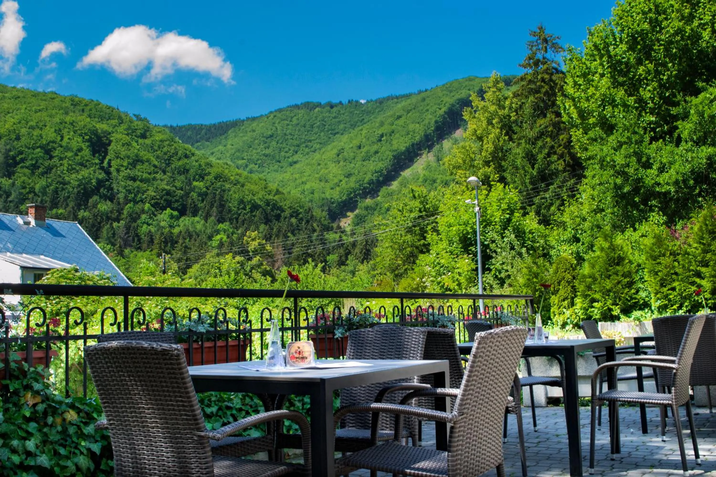 Garden in Penzión Talisman