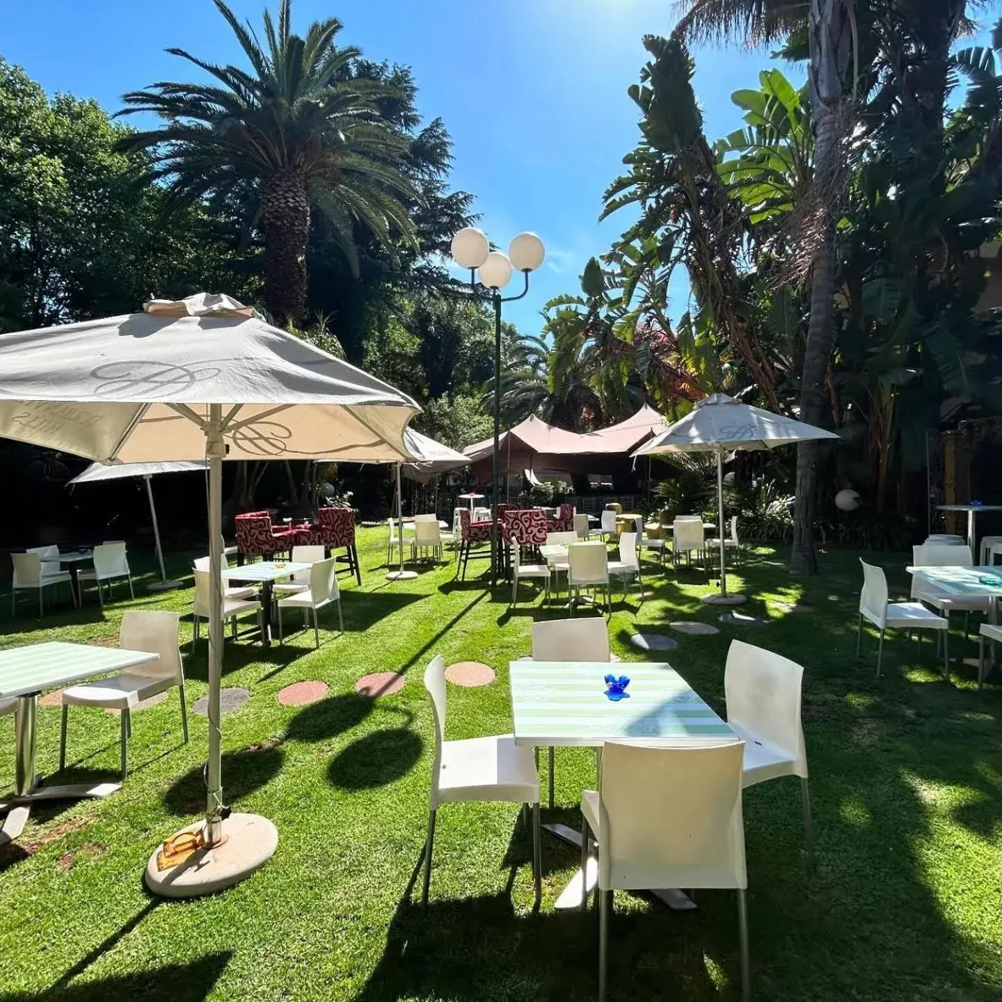 Garden view in Villa Simonne Garden view in Villa Simonne