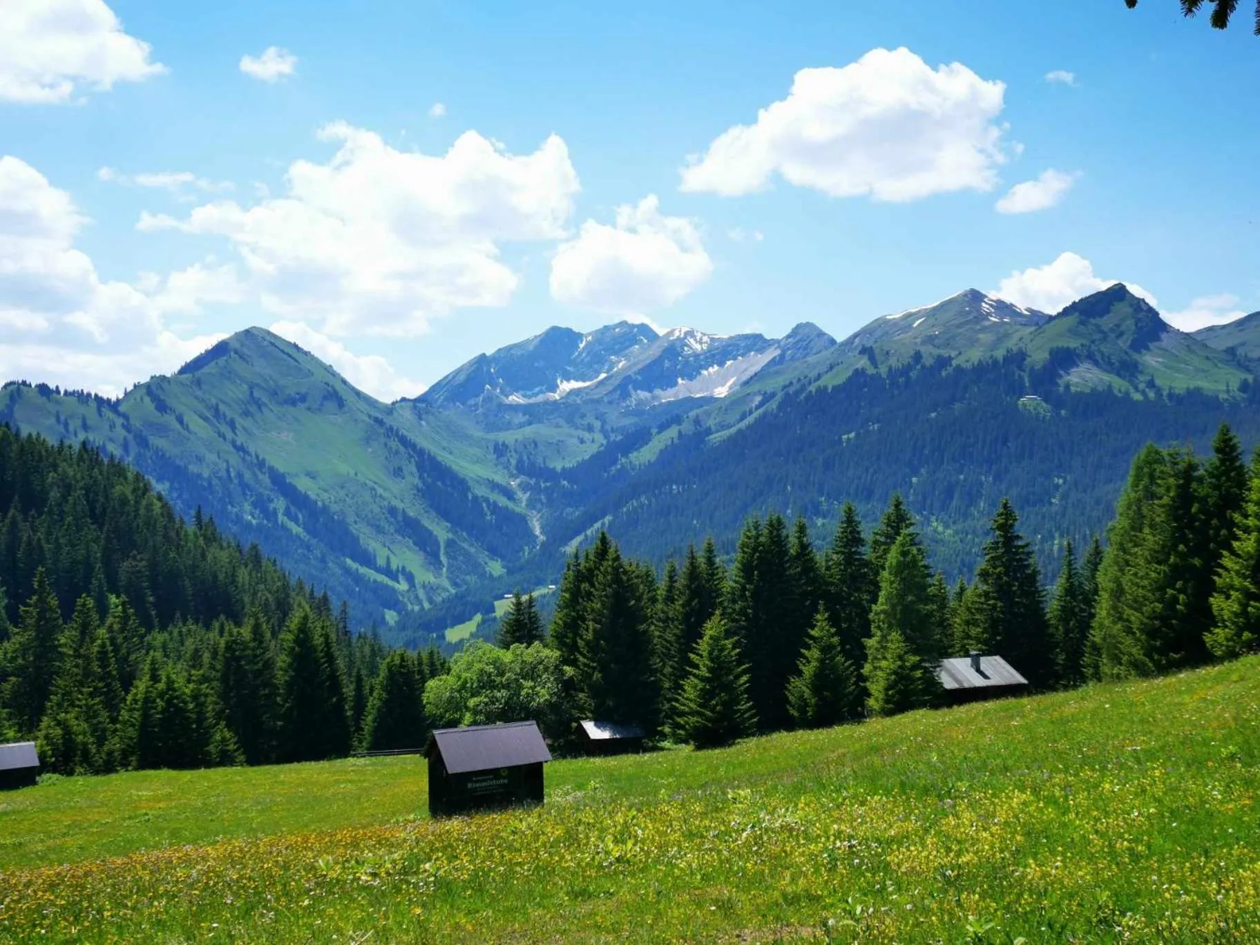 Area and facilities in Gästehaus Bergland