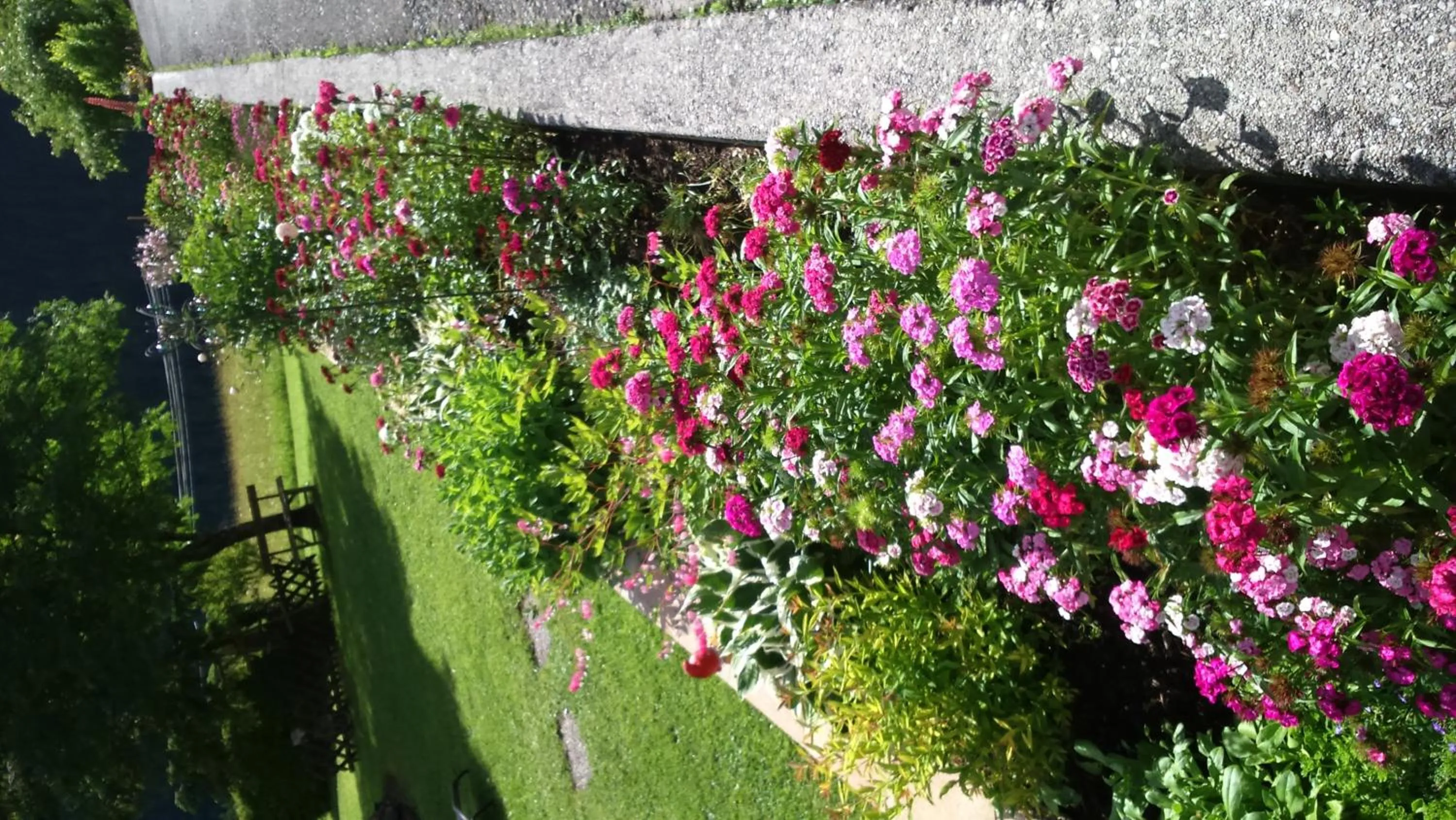 Garden in Gästehaus Bergland