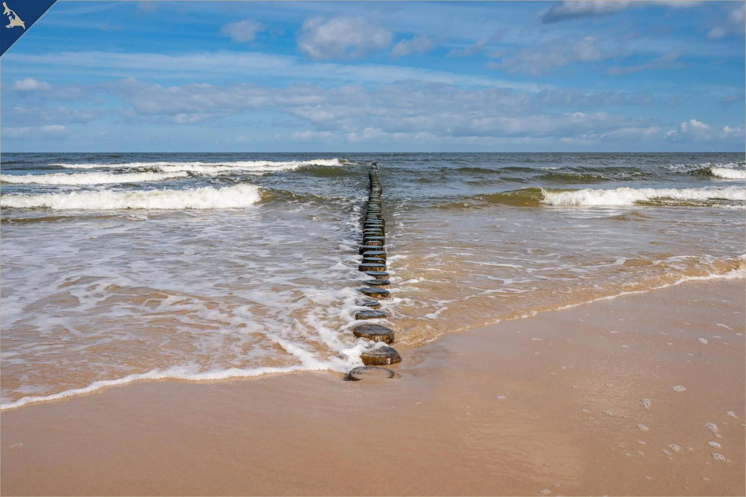 Beach in Waldsiedlung Kontraste