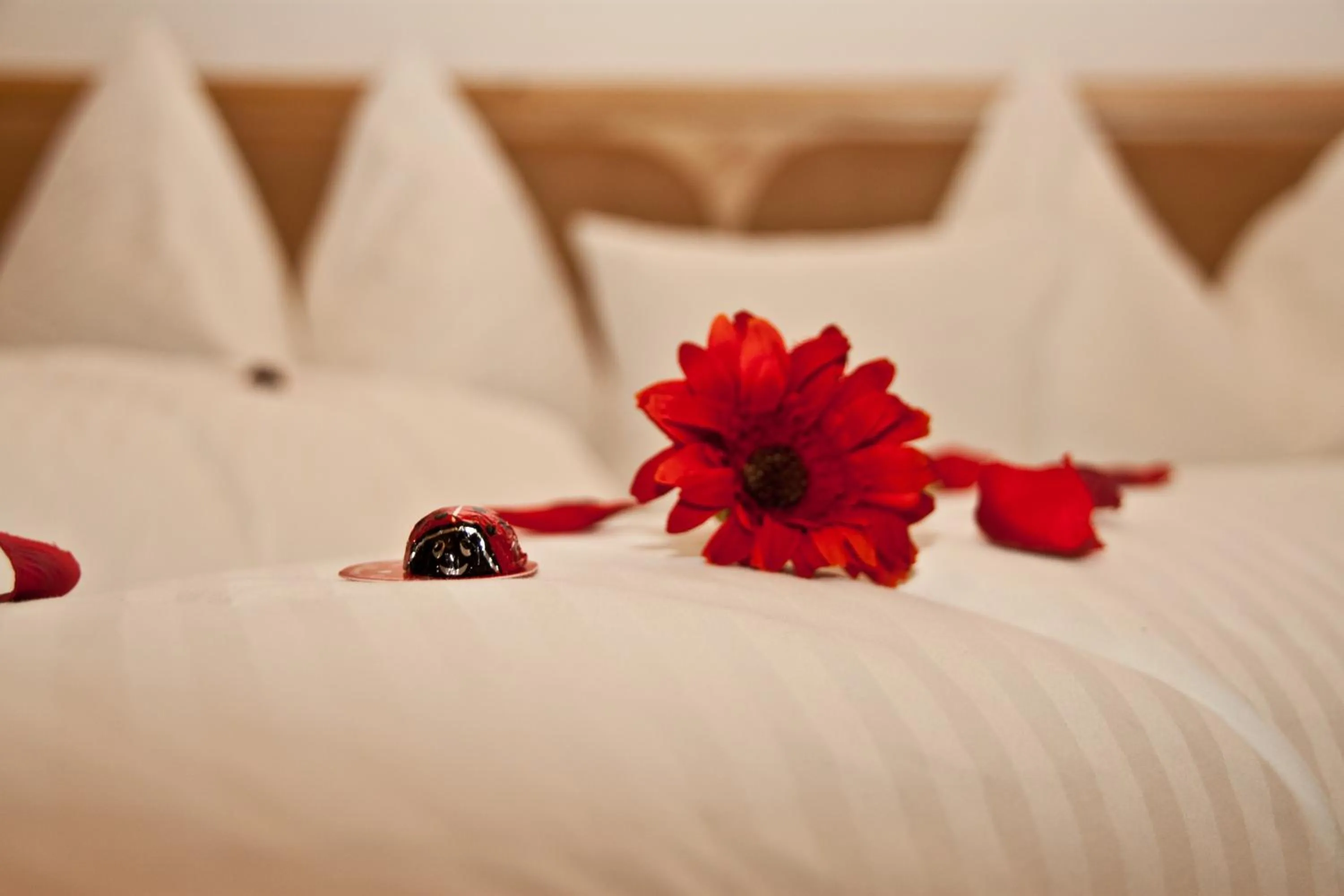 Decorative detail, Bed in Gasthof zum Wilden Kaiser