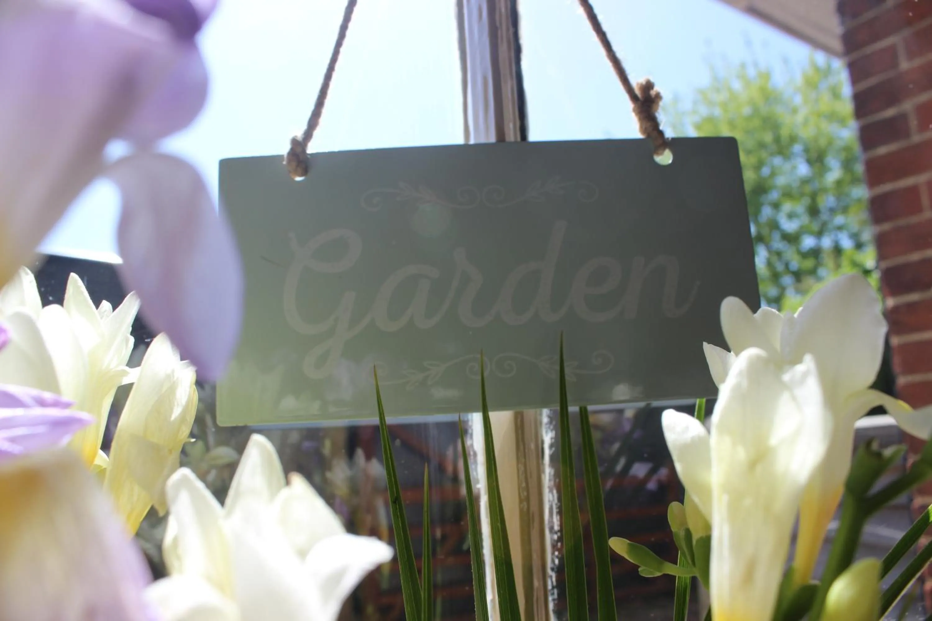 Garden view in Greyfriars Lodge Canterbury