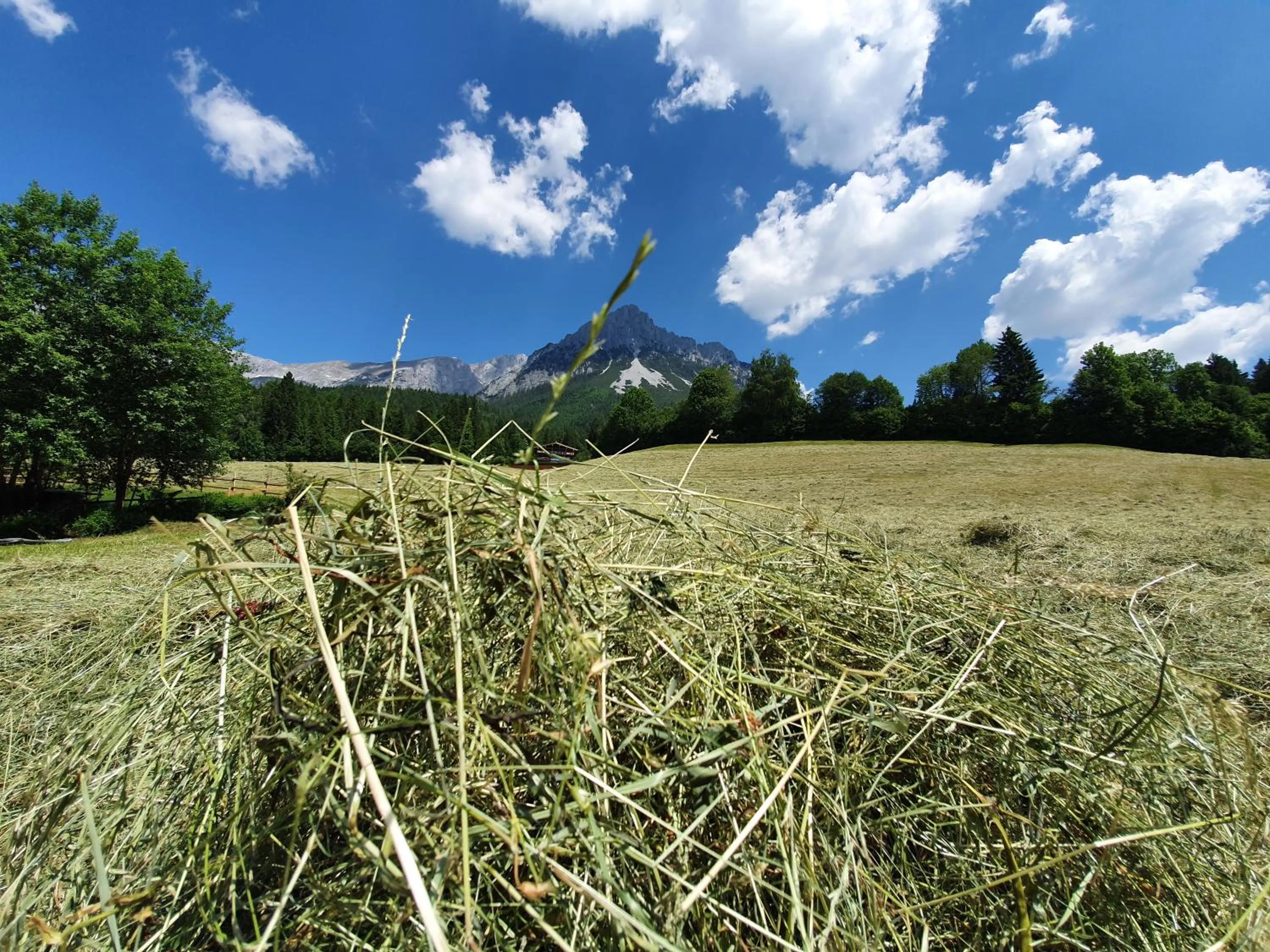 Natural landscape in Grubhof Appartements
