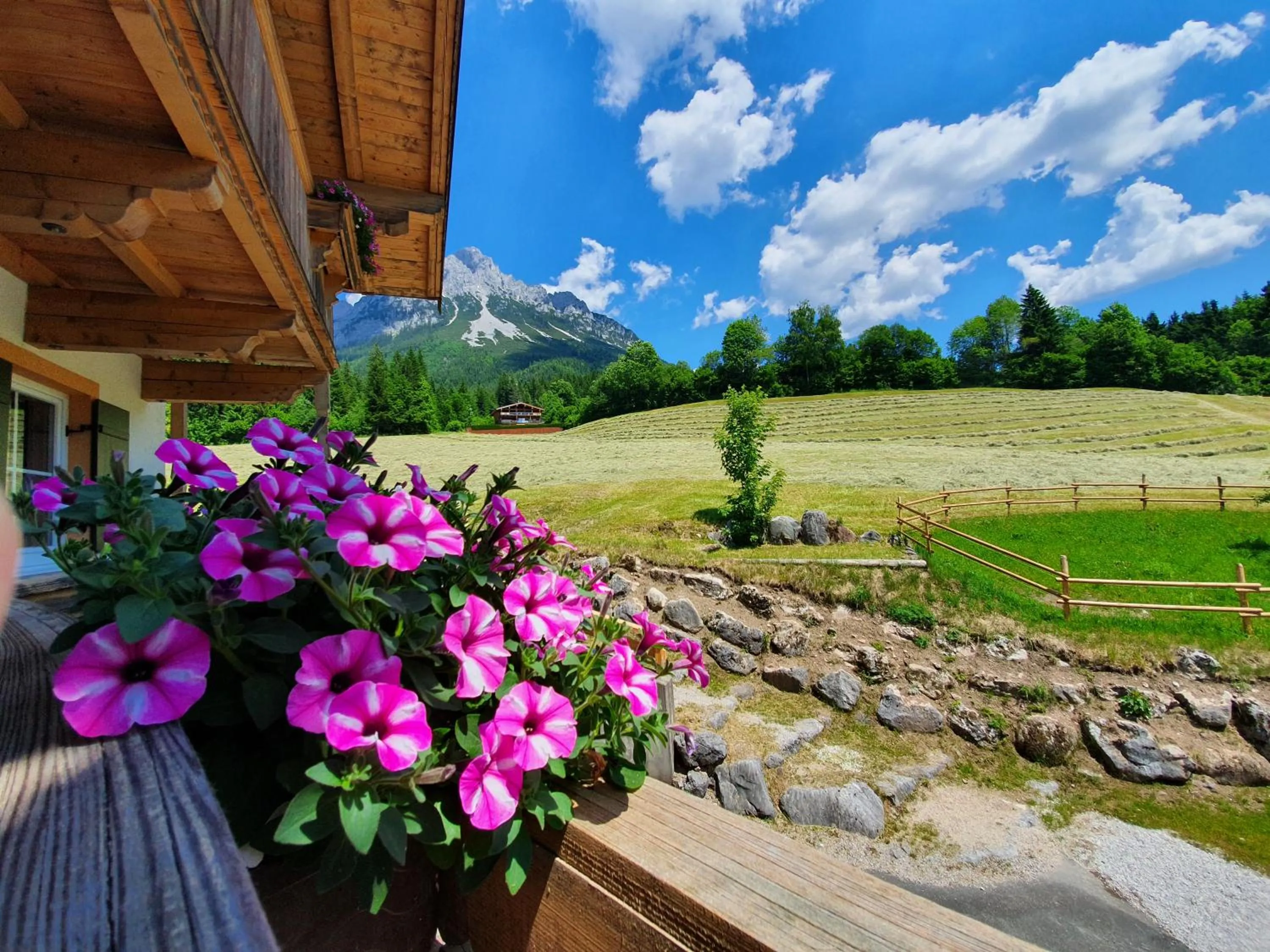 Natural landscape in Grubhof Appartements
