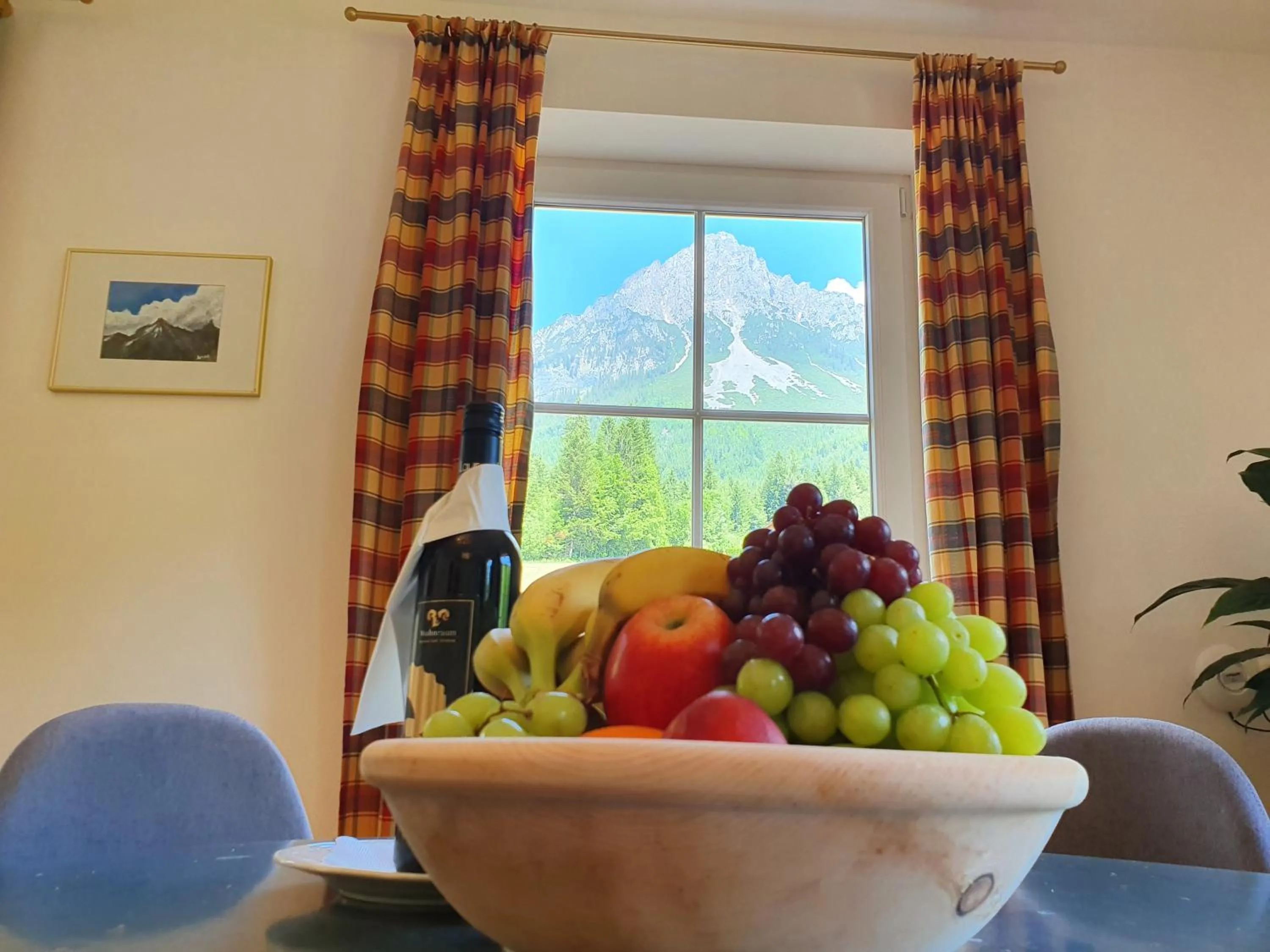 Mountain view in Grubhof Appartements