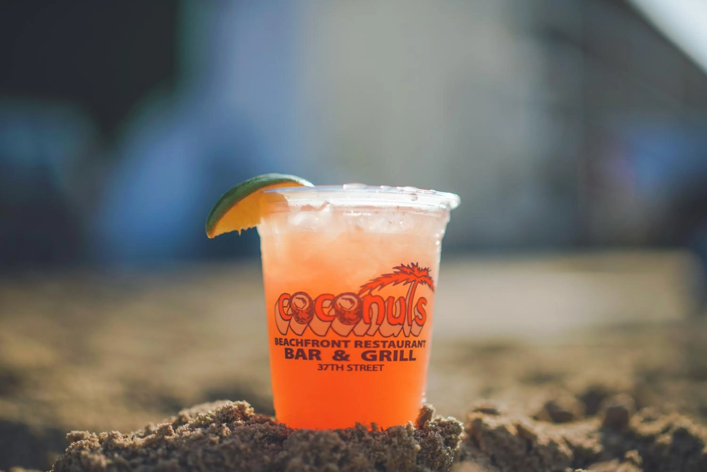 Lounge or bar in Castle in the Sand