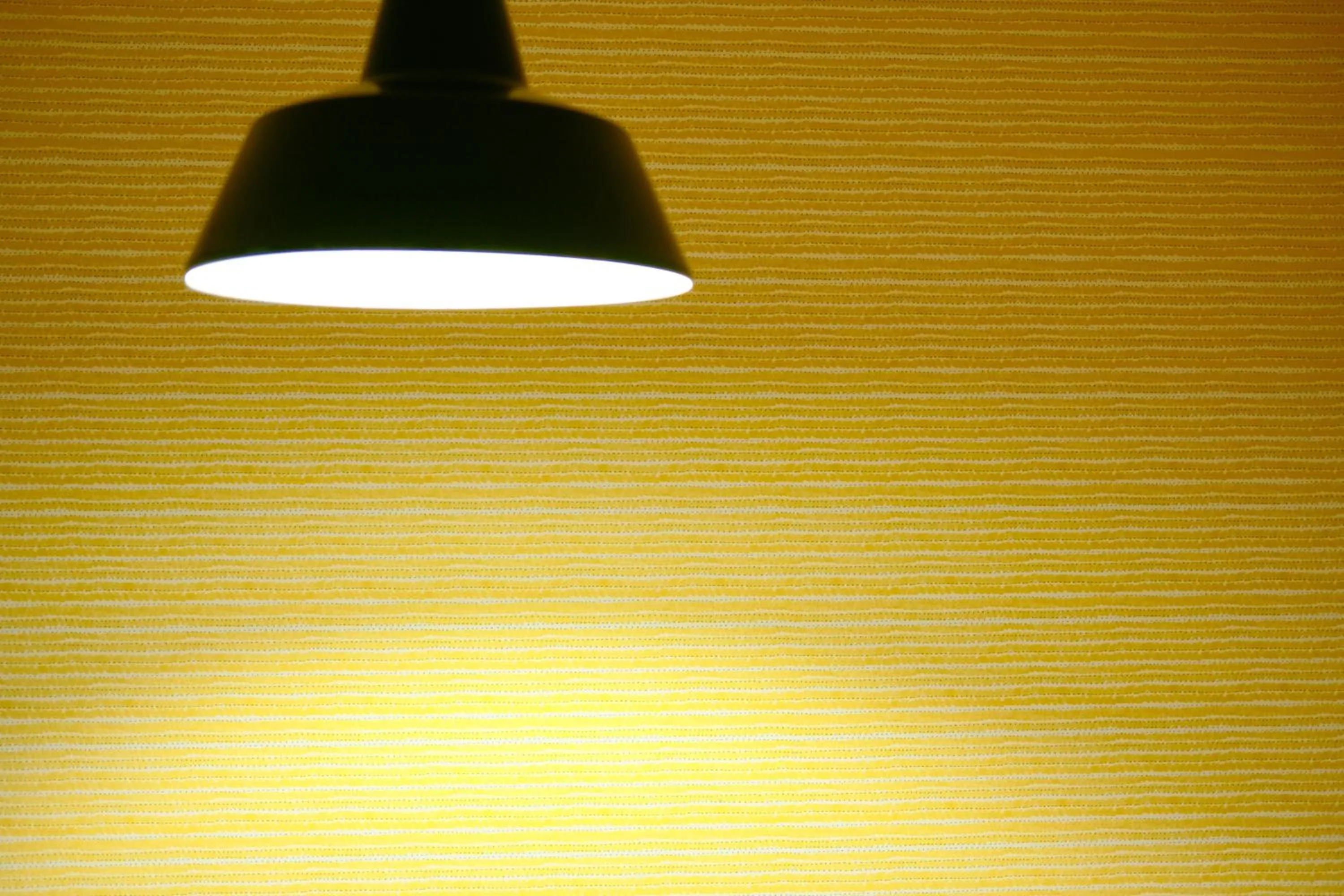 Photo of the whole room in コージーイン 東京桜新町