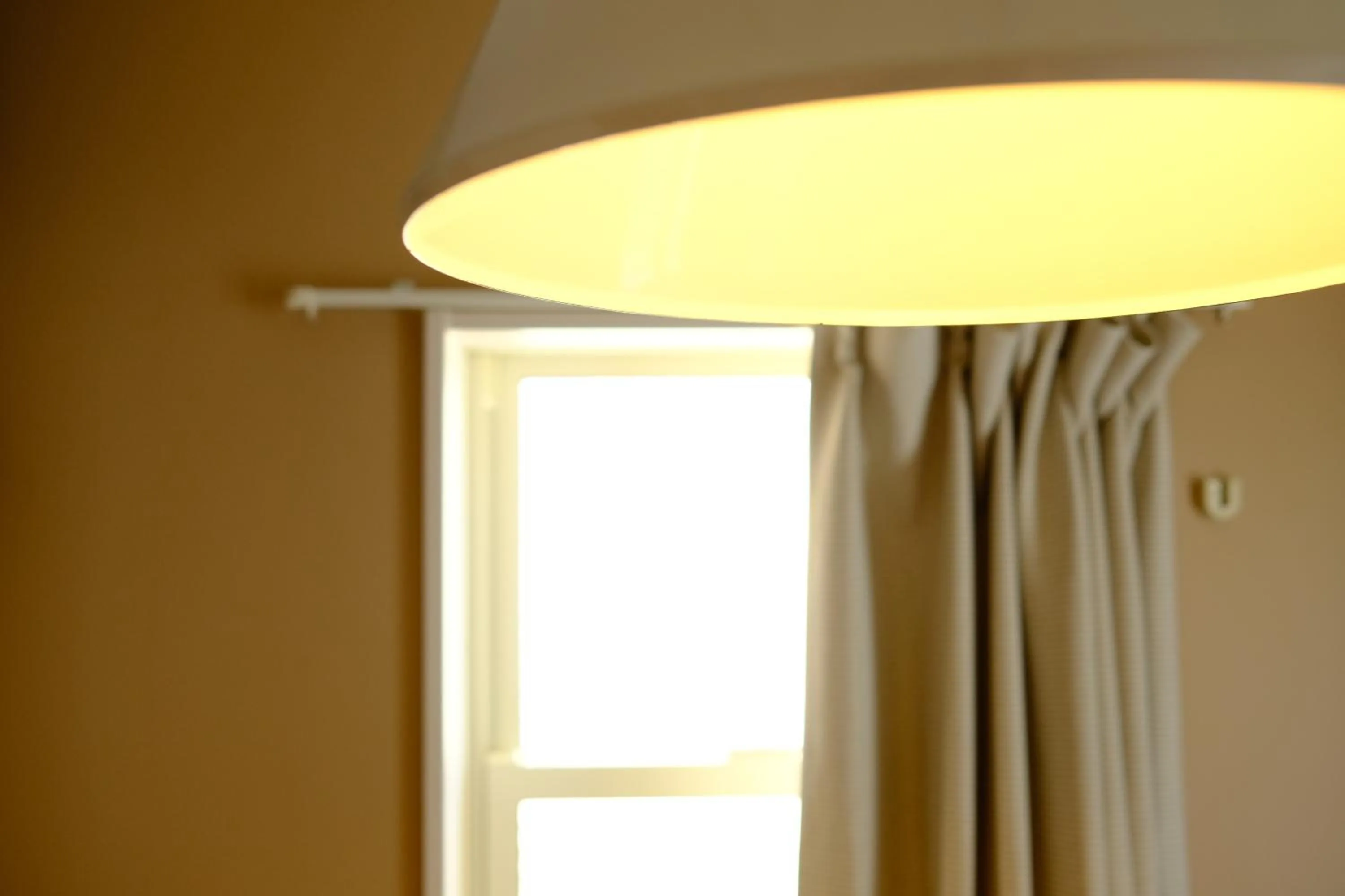 Photo of the whole room in コージーイン 東京桜新町