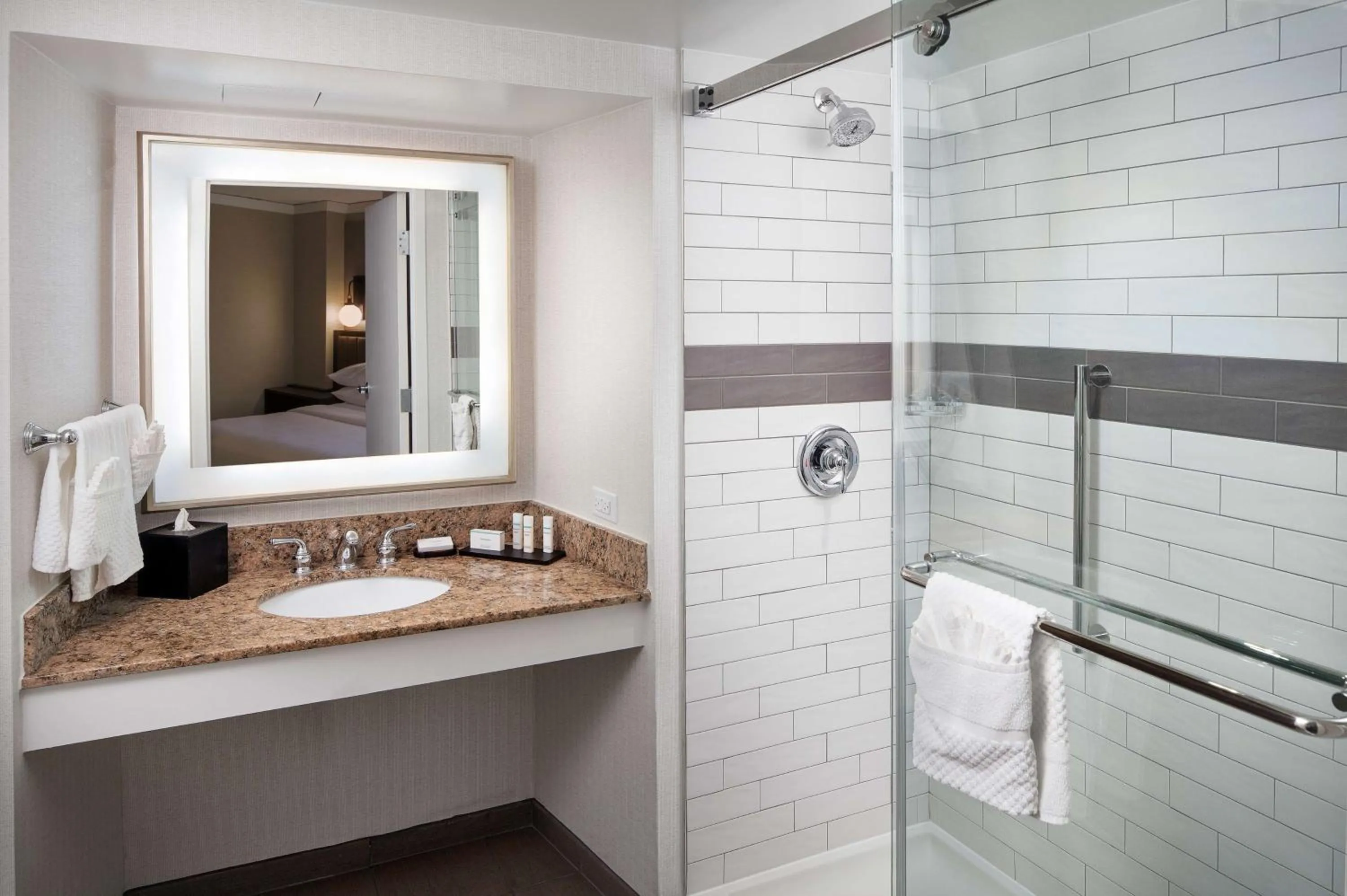 Bathroom in Embassy Suites Tysons Corner