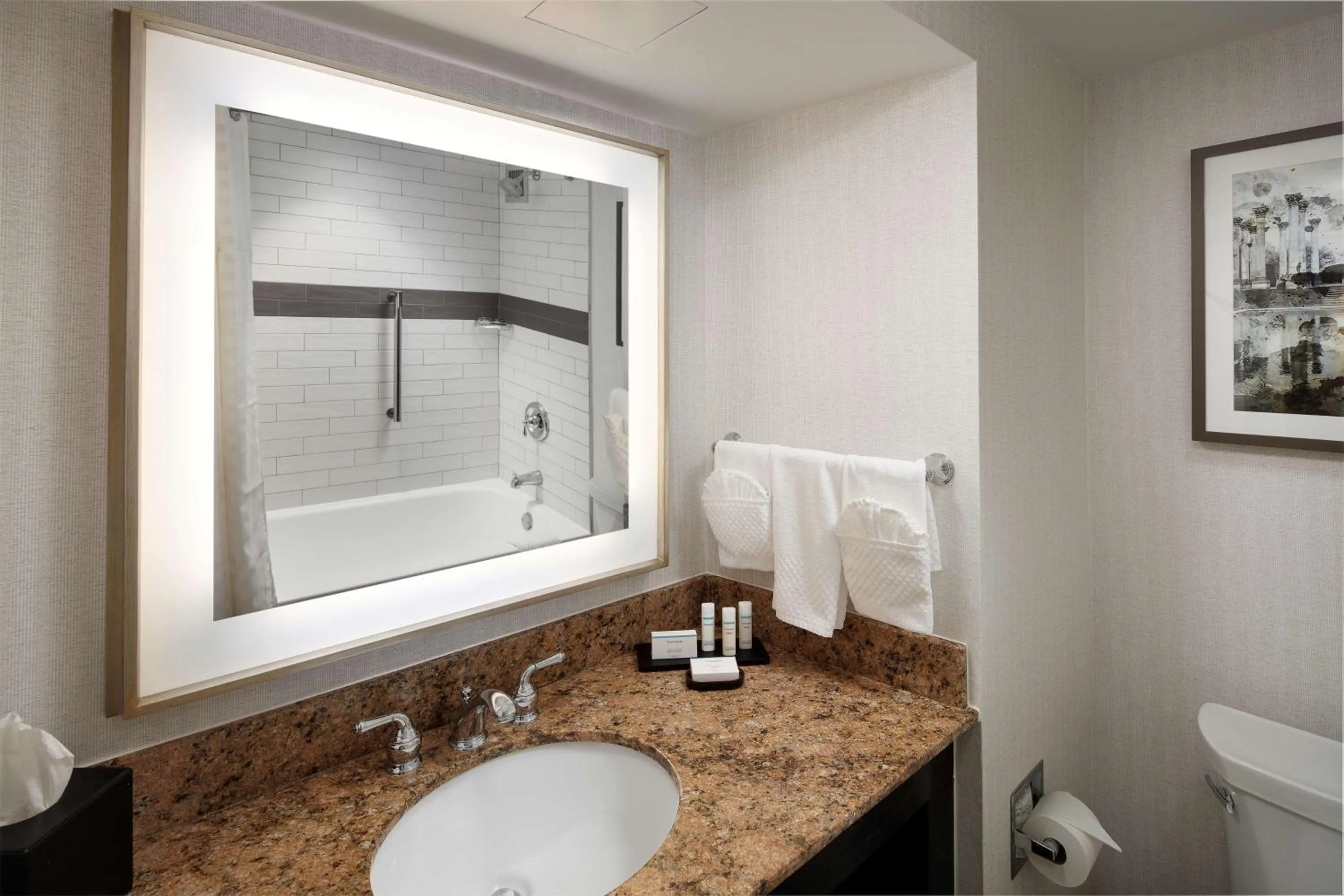 Bathroom in Embassy Suites Tysons Corner