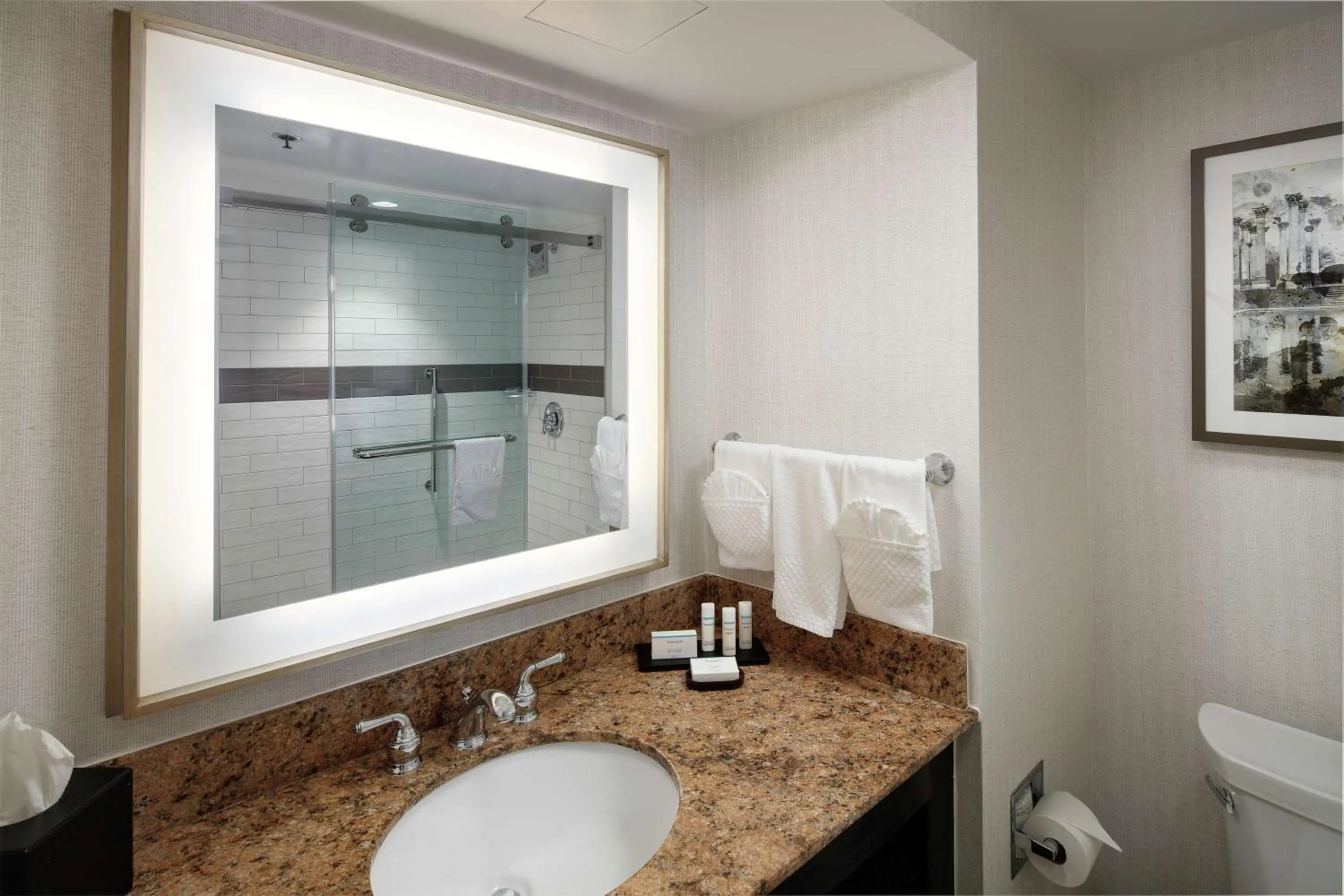 Bathroom in Embassy Suites Tysons Corner