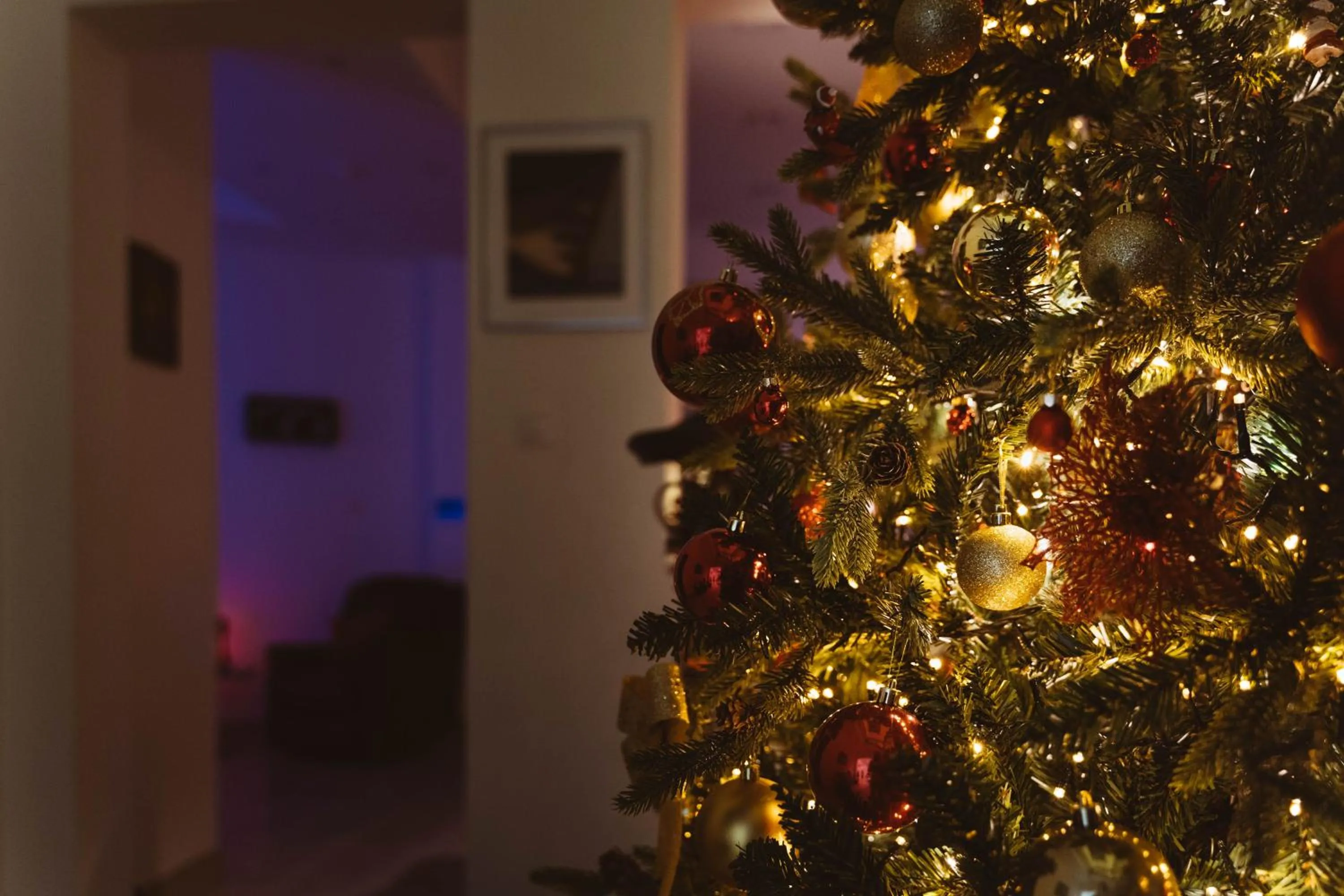 Decorative detail in Fauzia B&B