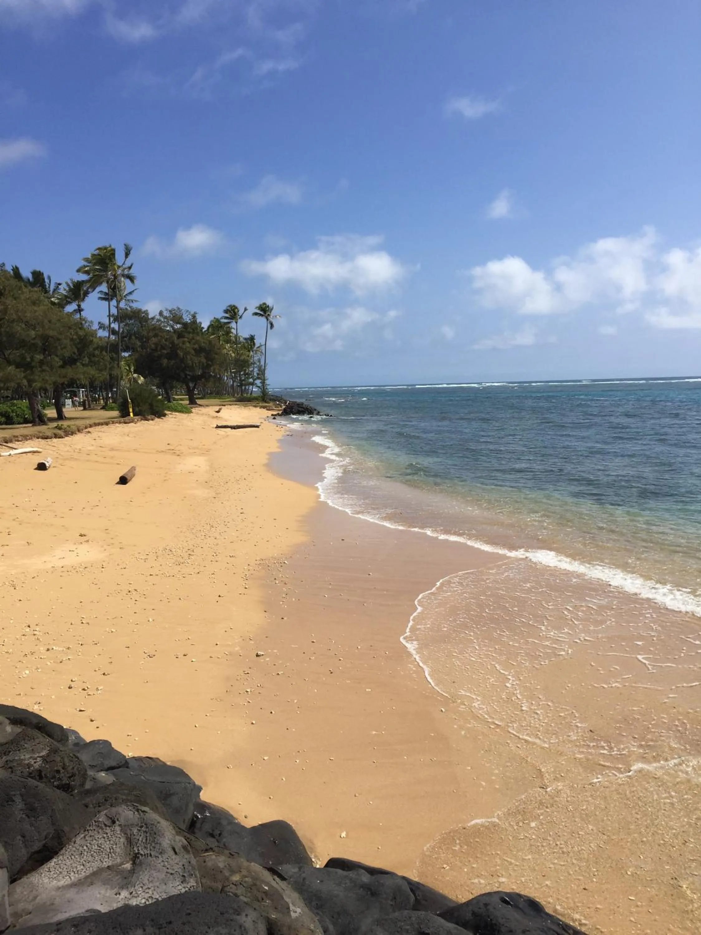 Day in Hotel Coral Reef