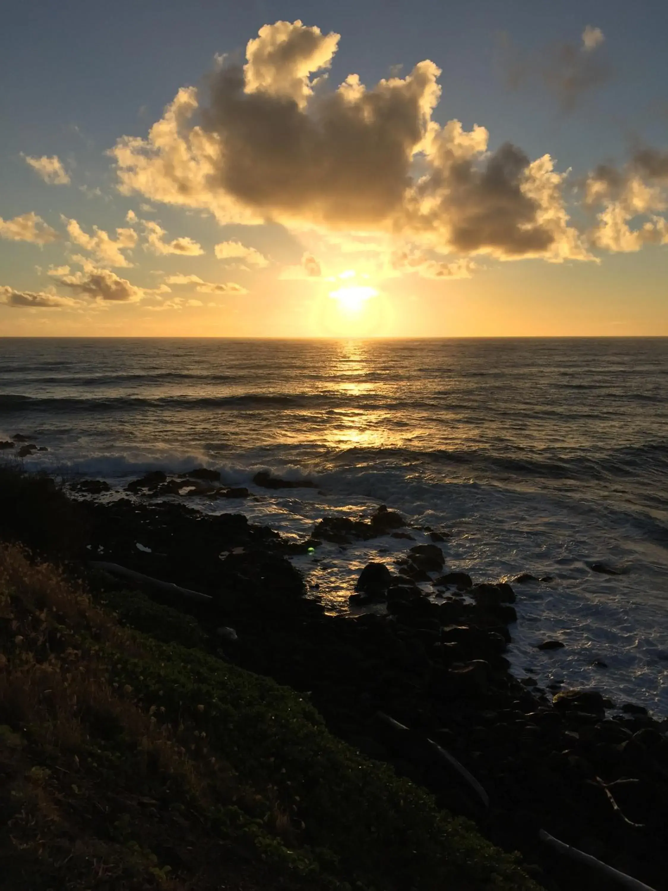 Natural landscape in Hotel Coral Reef Natural landscape in Hotel Coral Reef