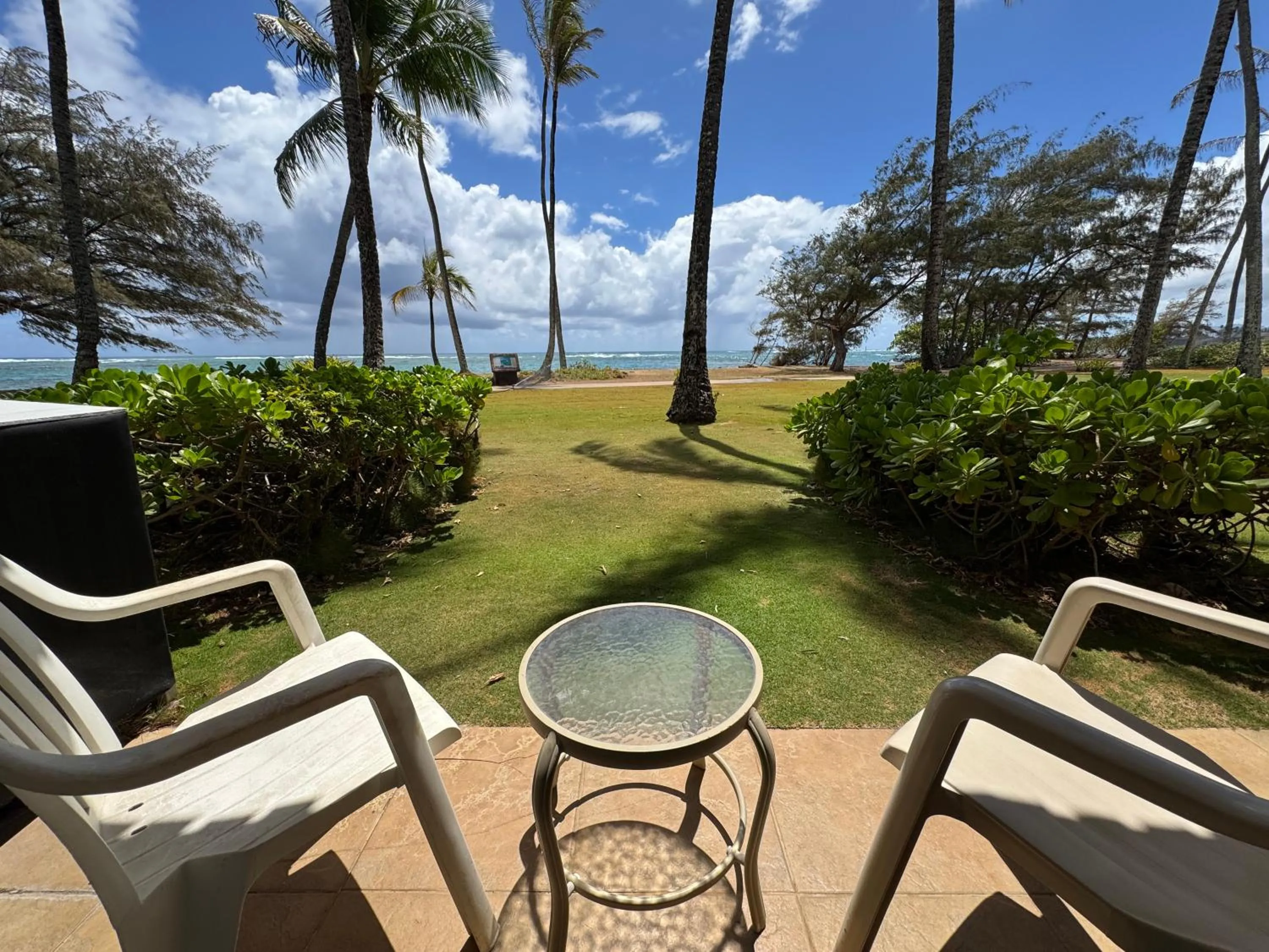 View (from property/room) in Hotel Coral Reef