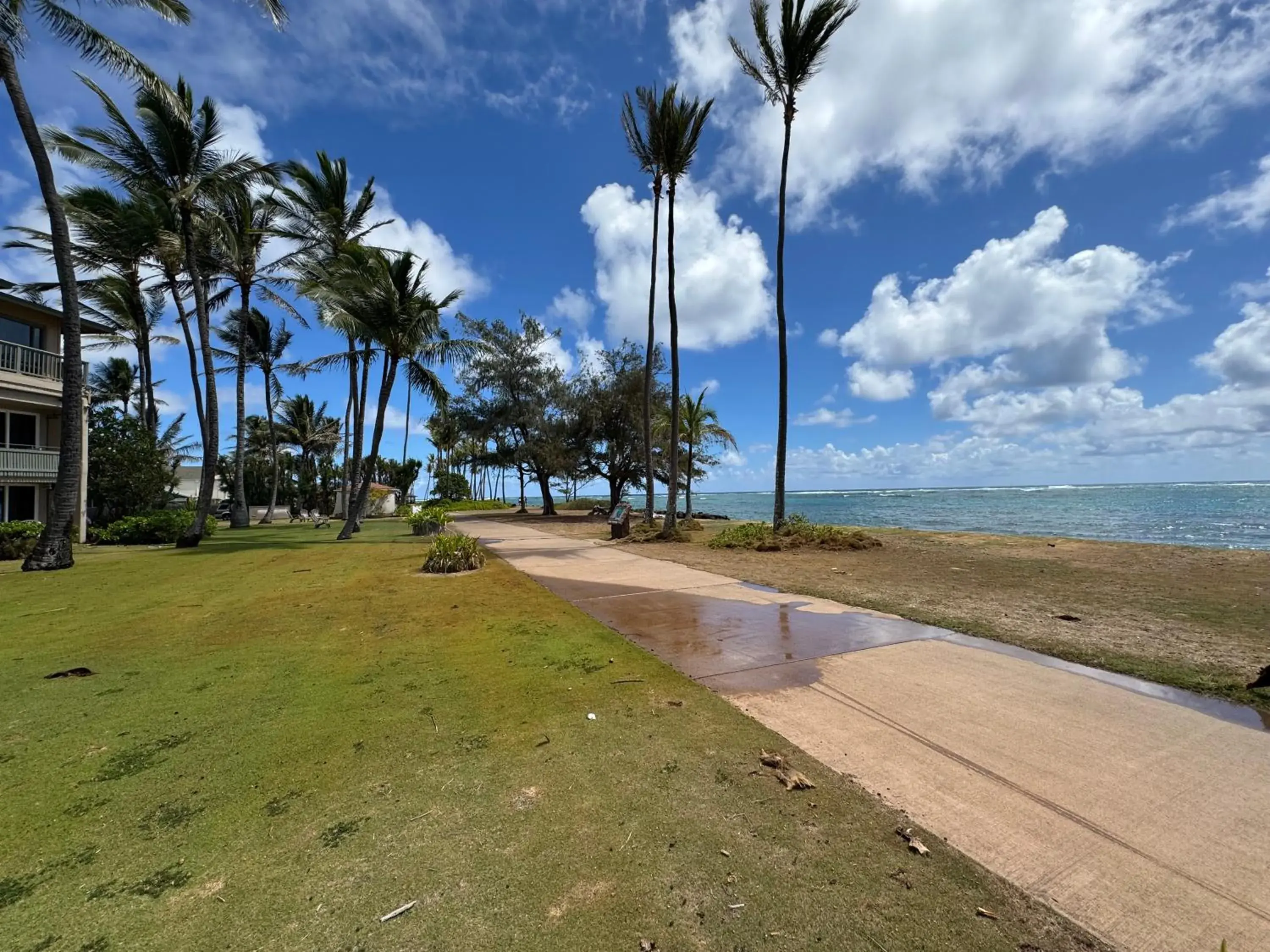 View (from property/room) in Hotel Coral Reef View (from property/room) in Hotel Coral Reef