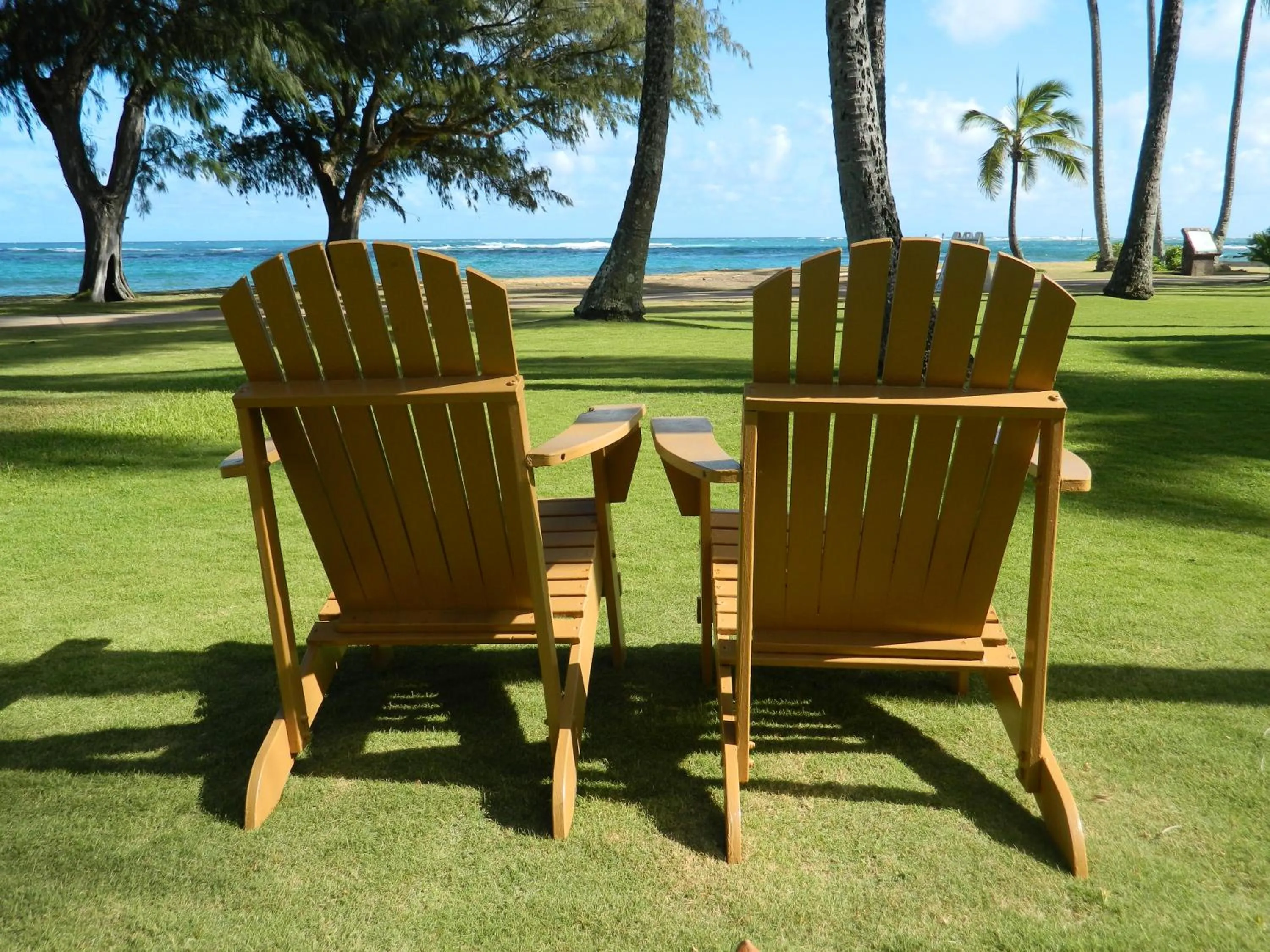 Beach in Hotel Coral Reef