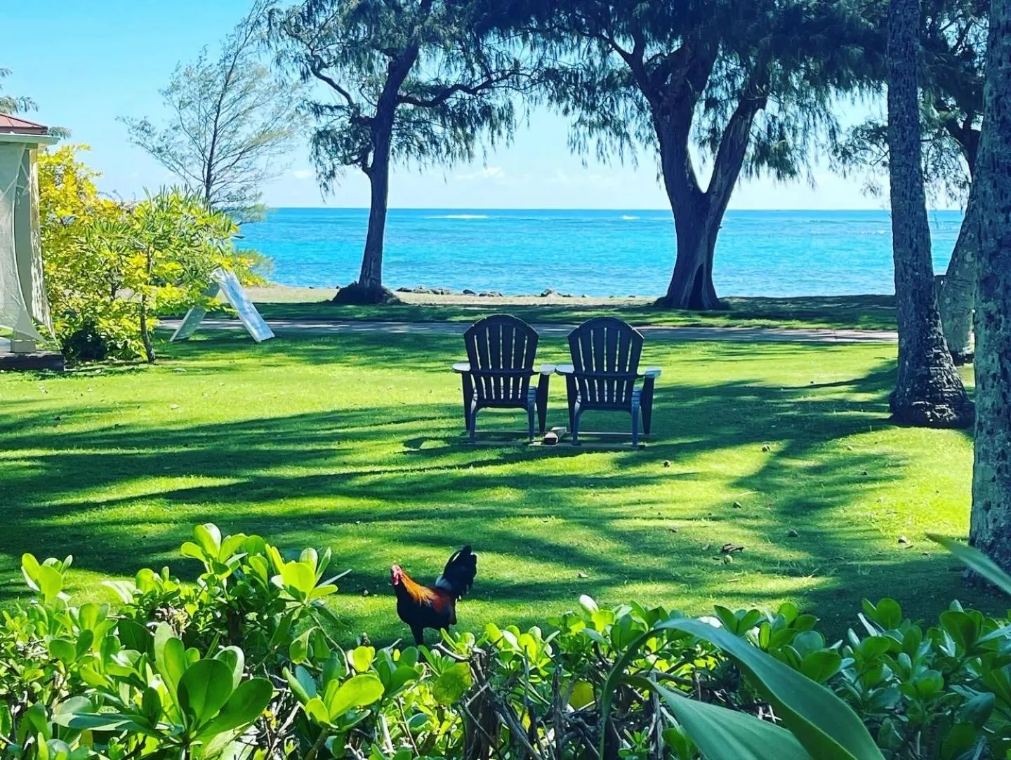 On site in Hotel Coral Reef