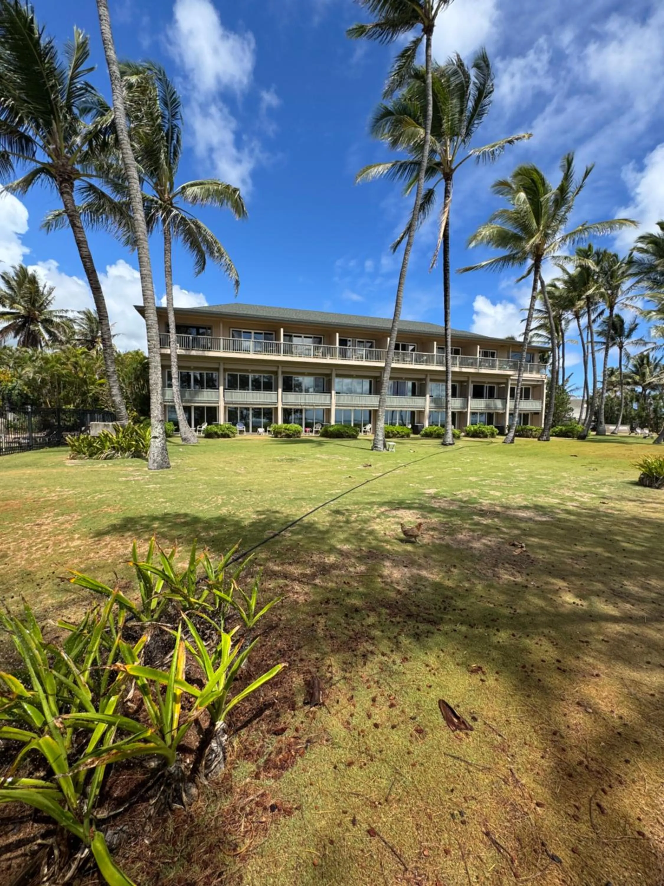 Sea view in Hotel Coral Reef