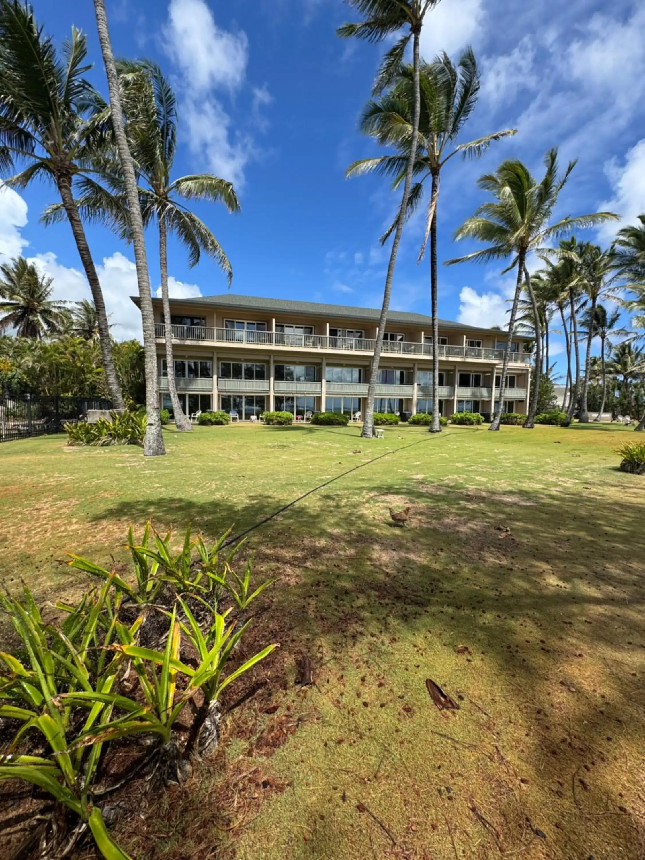 Sea view in Hotel Coral Reef Sea view in Hotel Coral Reef
