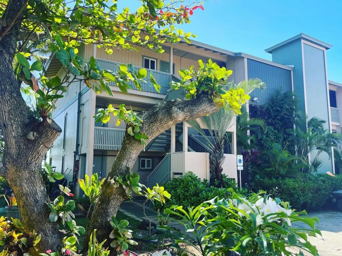 Property building in Hotel Coral Reef Property building in Hotel Coral Reef