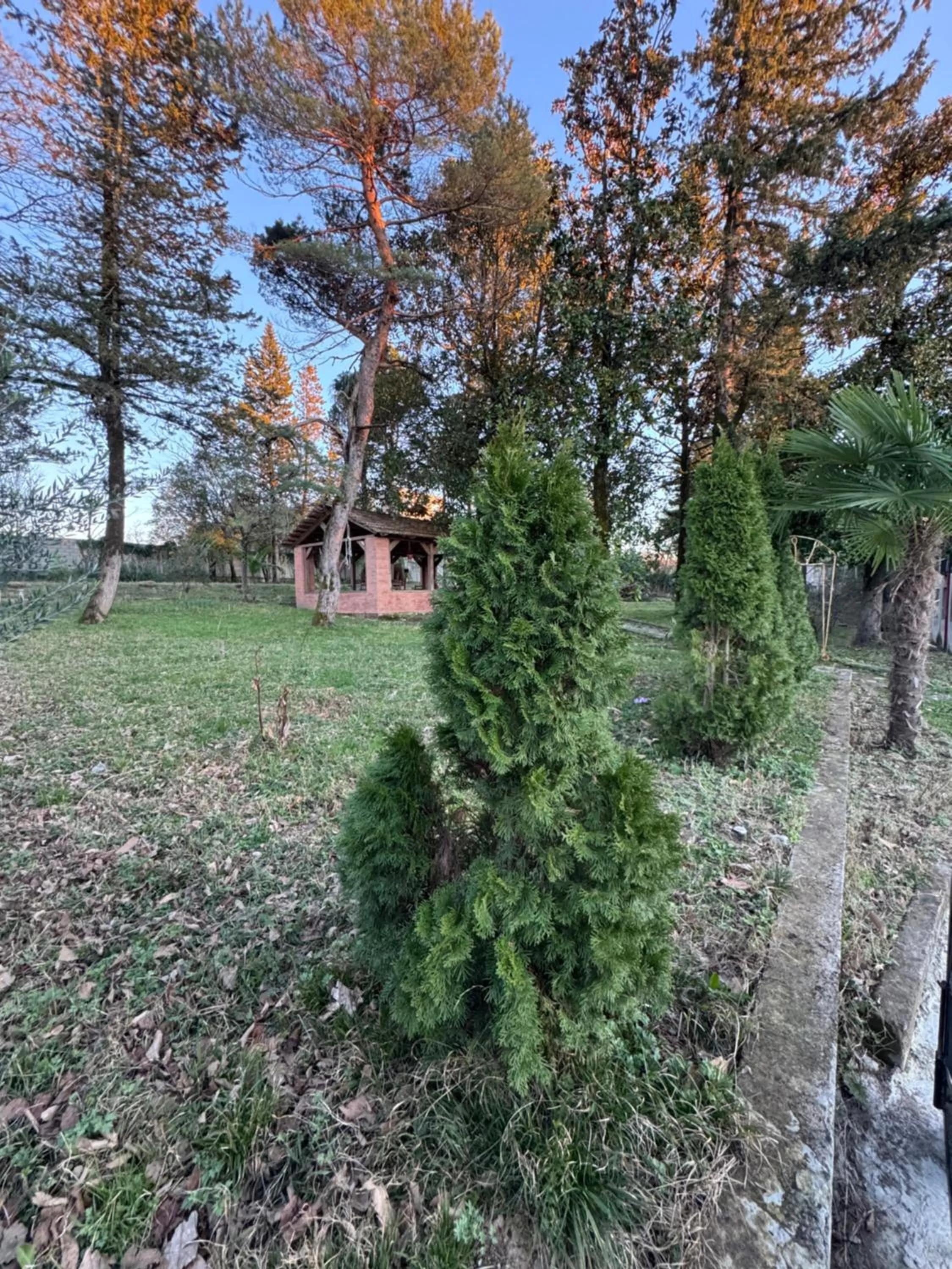 Spring in Hotel Giorgi