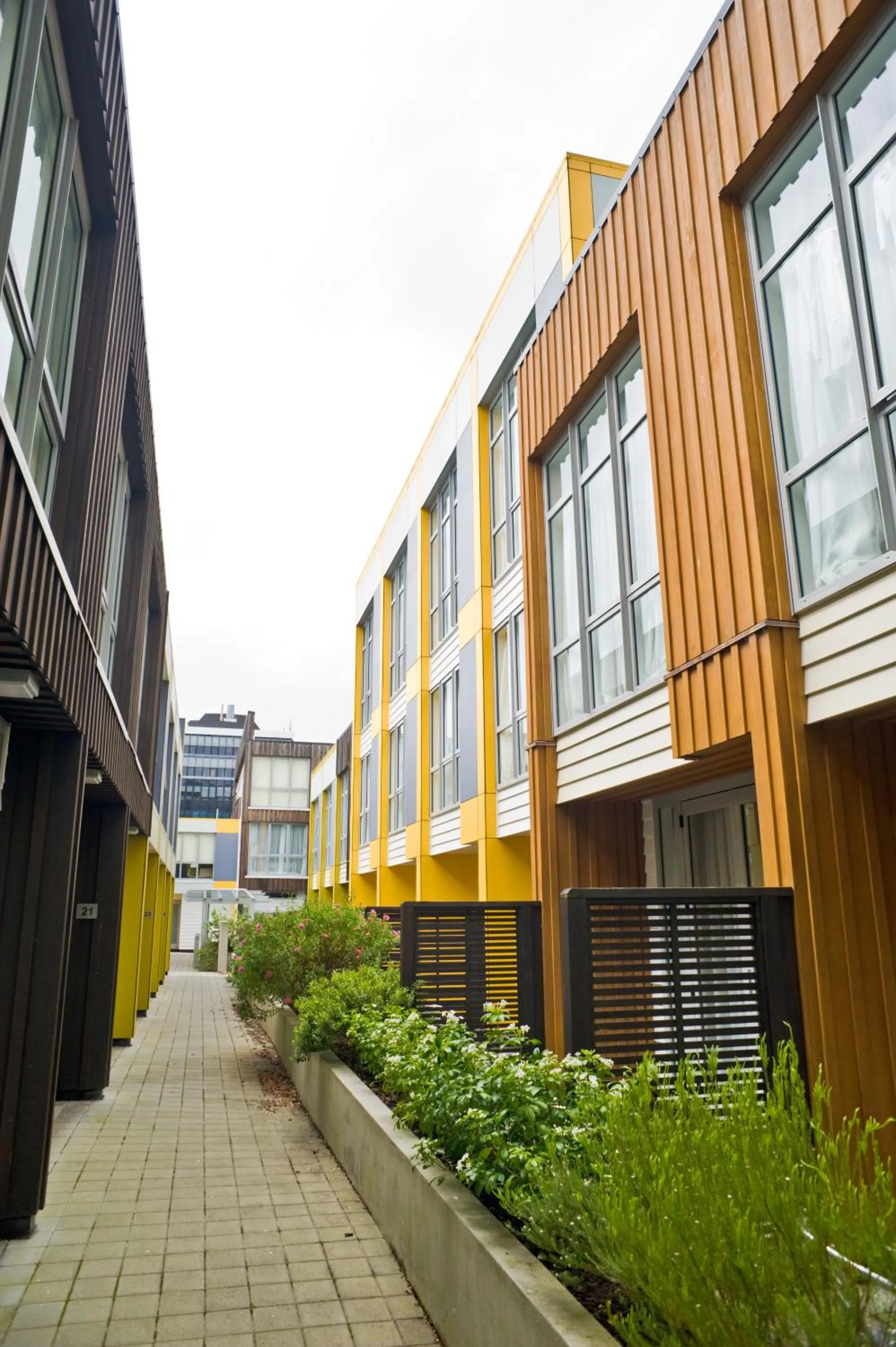 Patio in Boulcott Suites
