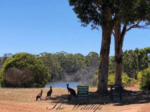 Natural landscape in Harmony Forest Cottages & Lake side Lodge