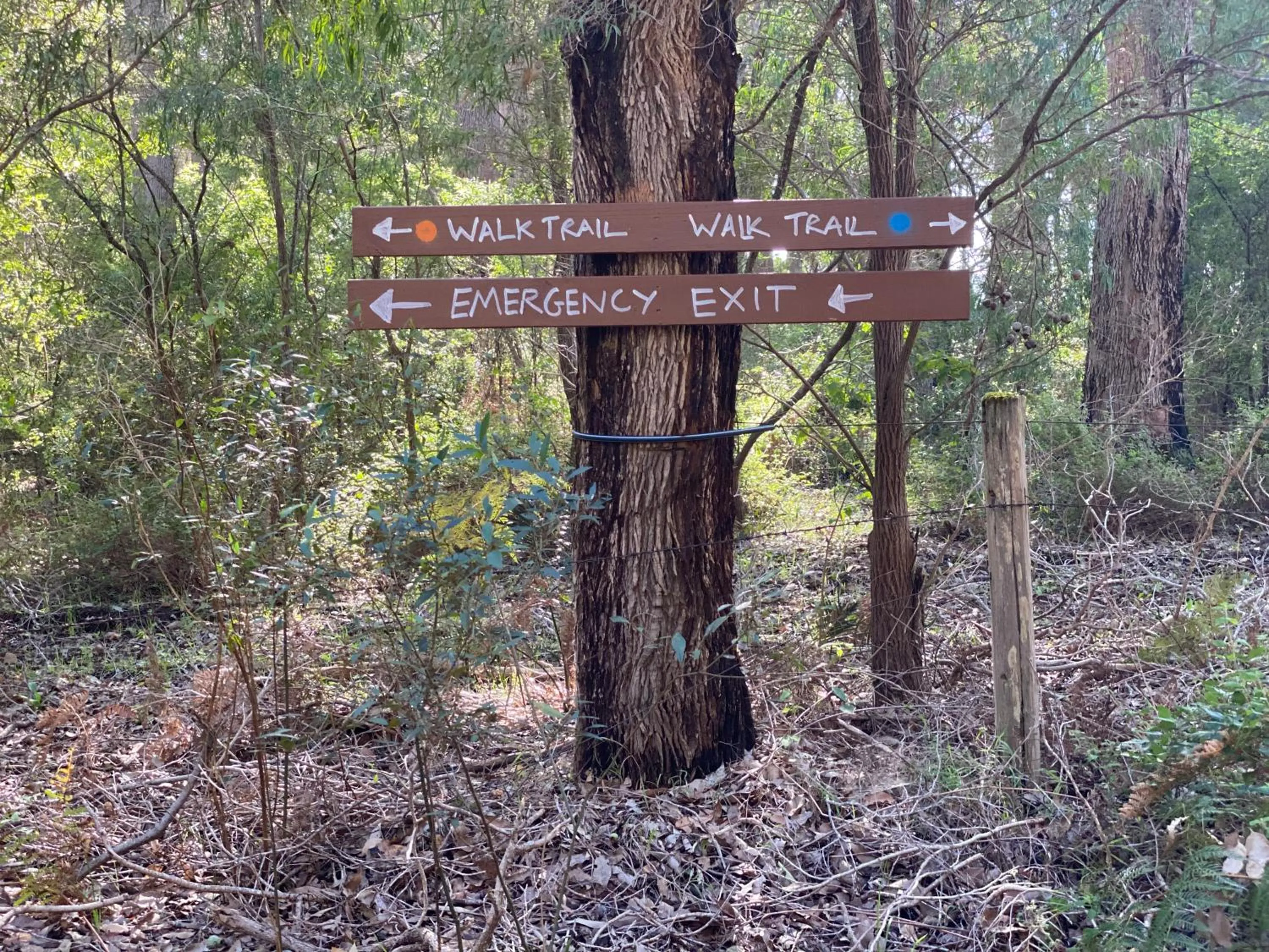Harmony Forest Cottages & Lake side Lodge