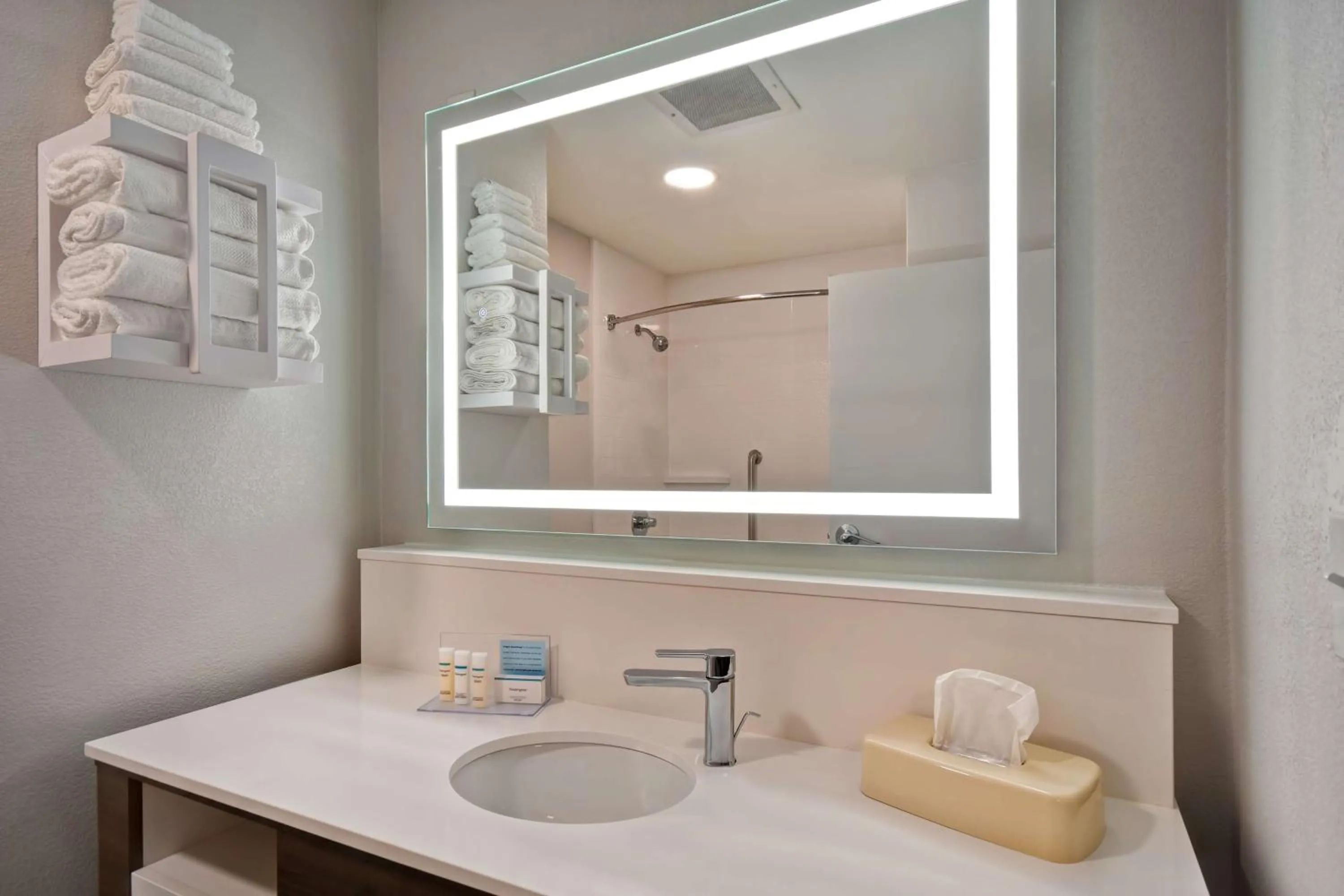 Bathroom in Hampton Inn Potomac Mills Woodbridge