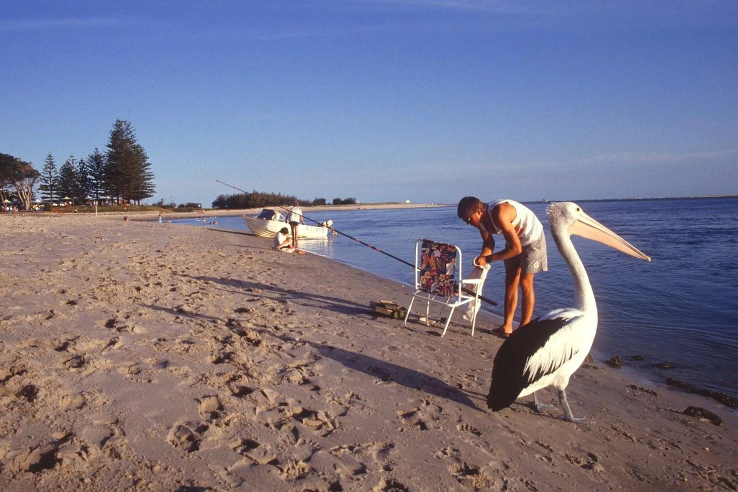 Fishing in Waterview Resort