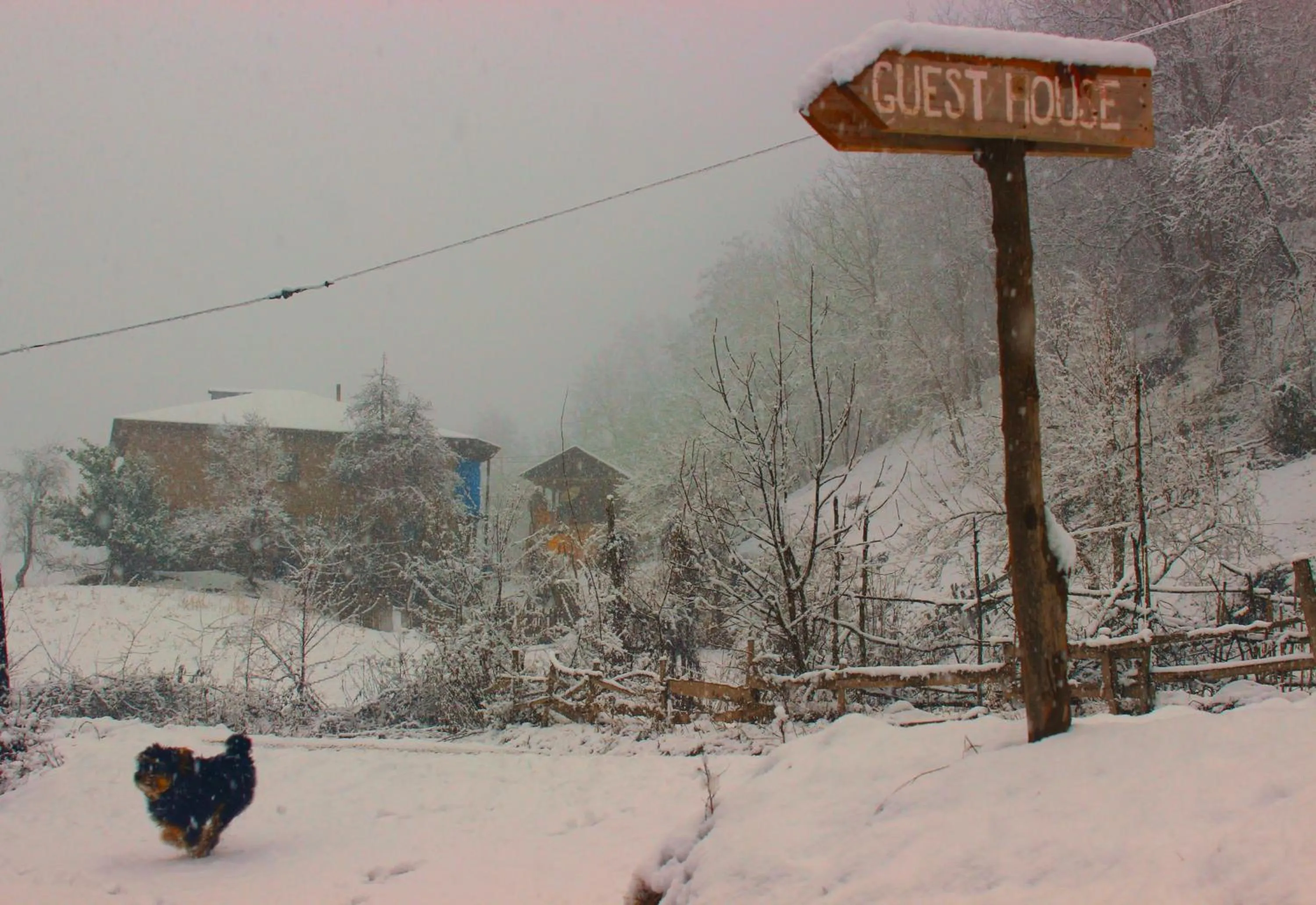 Guest House "Oasis"