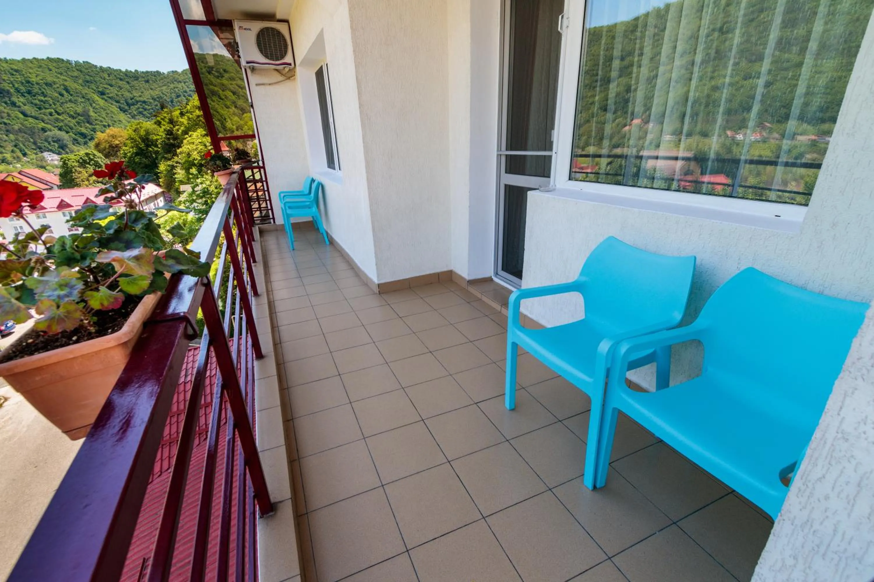 Balcony/Terrace in Hotel Orizont Cozia