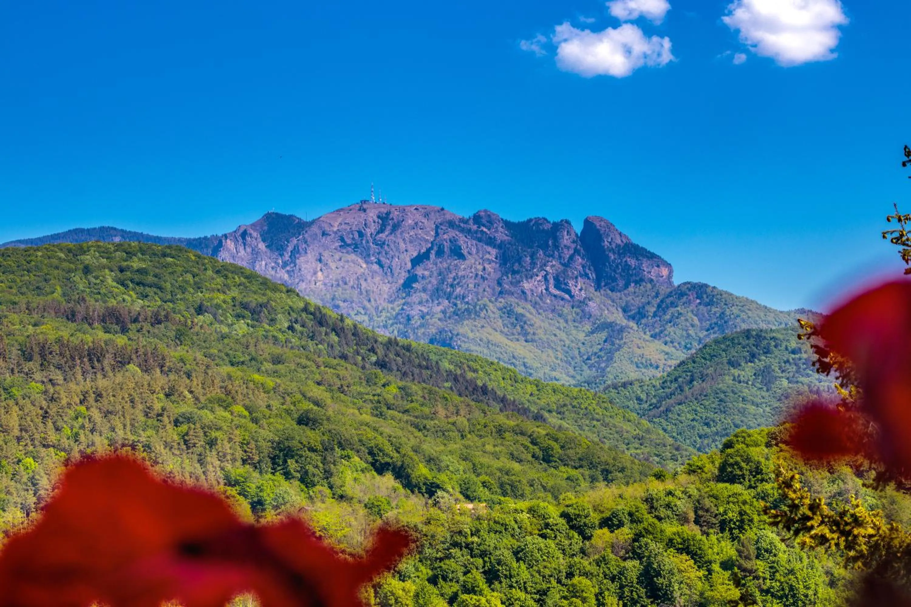 View (from property/room) in Hotel Orizont Cozia