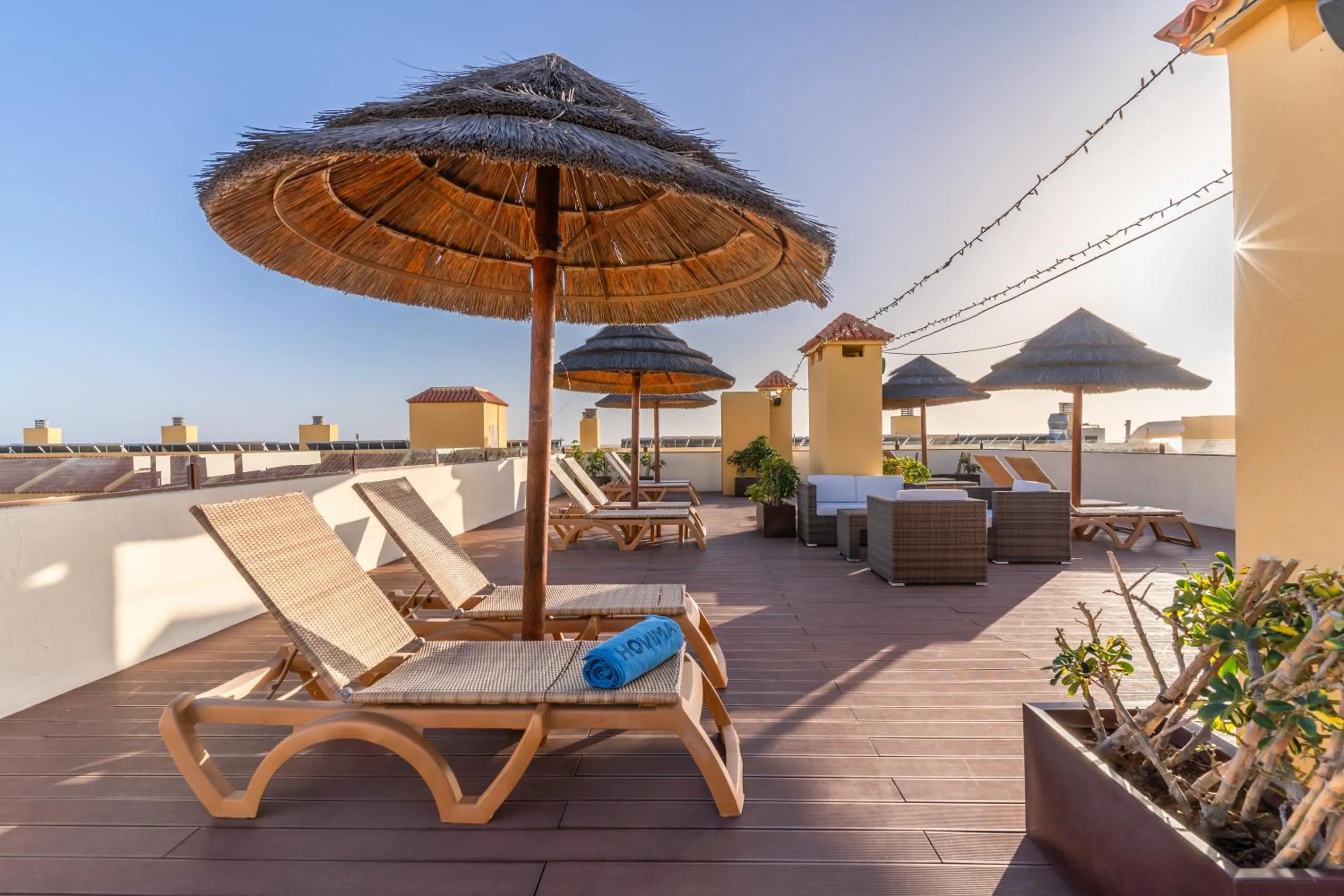 Area and facilities in HOVIMA Jardin Caleta