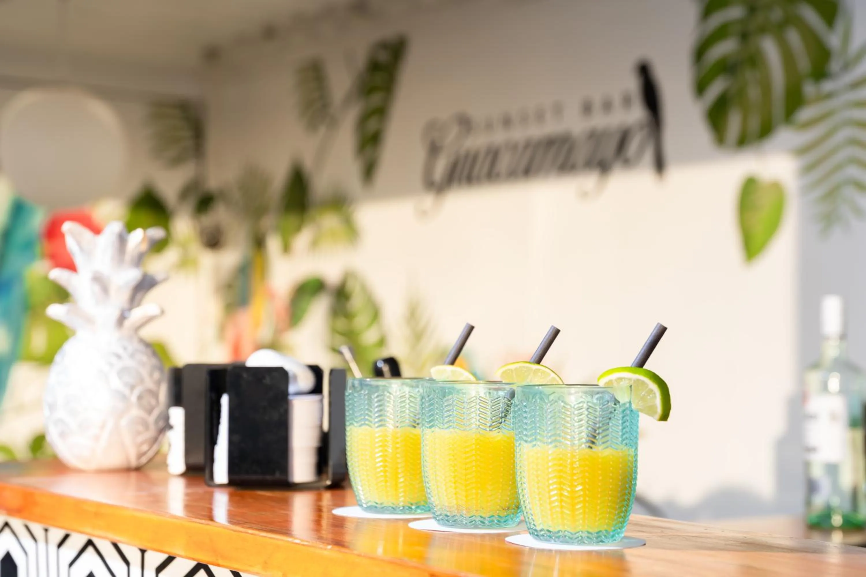 Area and facilities in HOVIMA Jardin Caleta