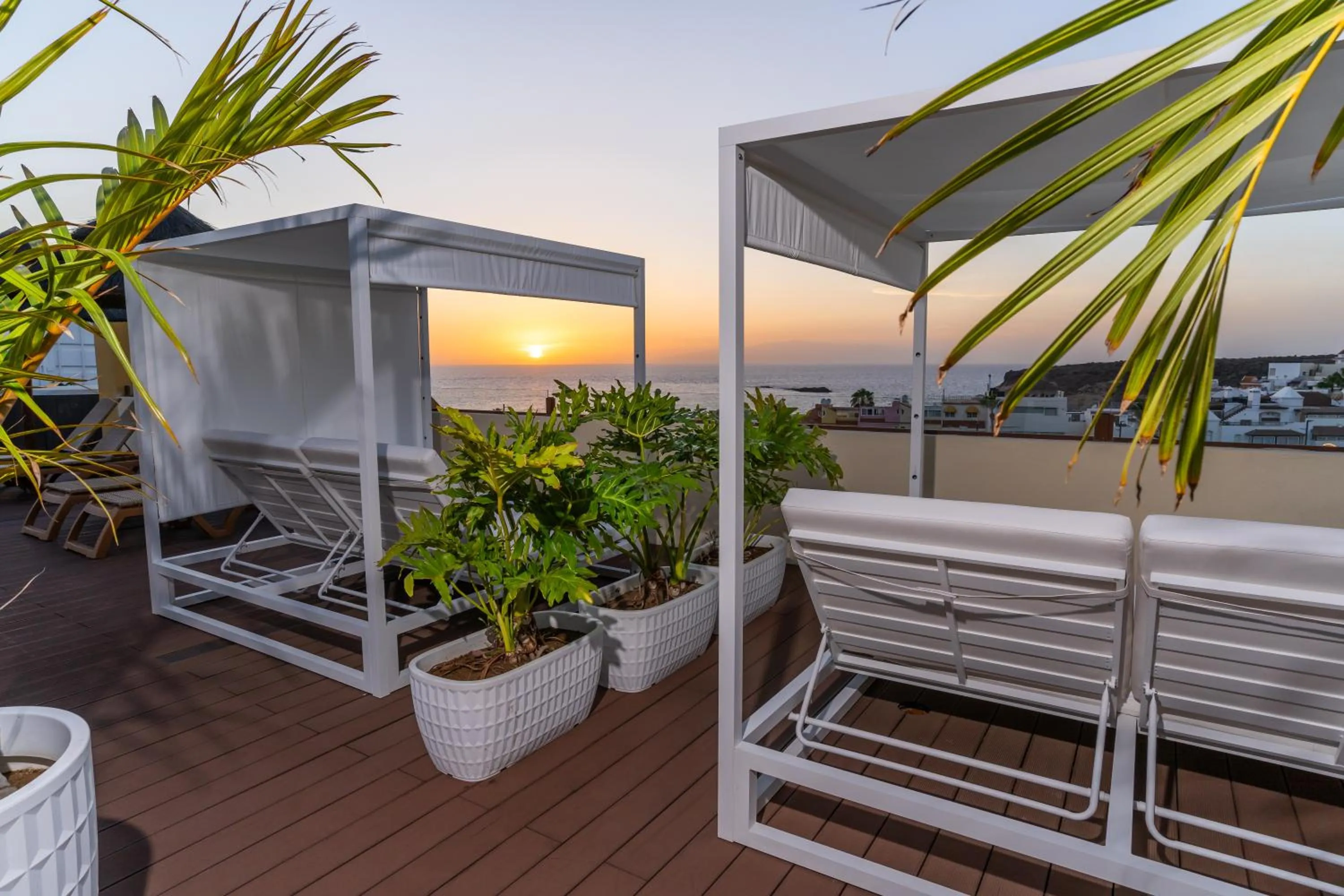 Area and facilities in HOVIMA Jardin Caleta