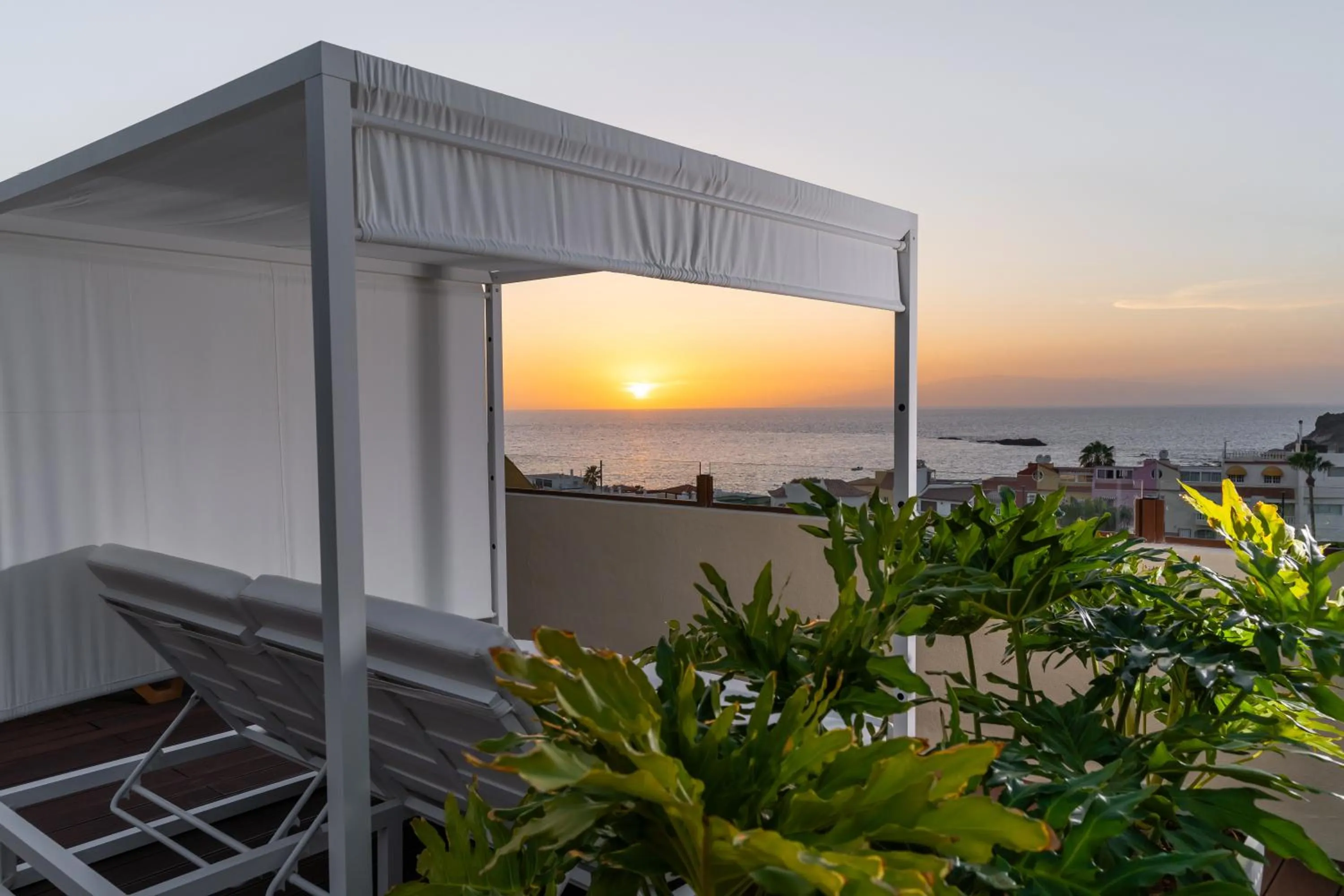 Area and facilities in HOVIMA Jardin Caleta