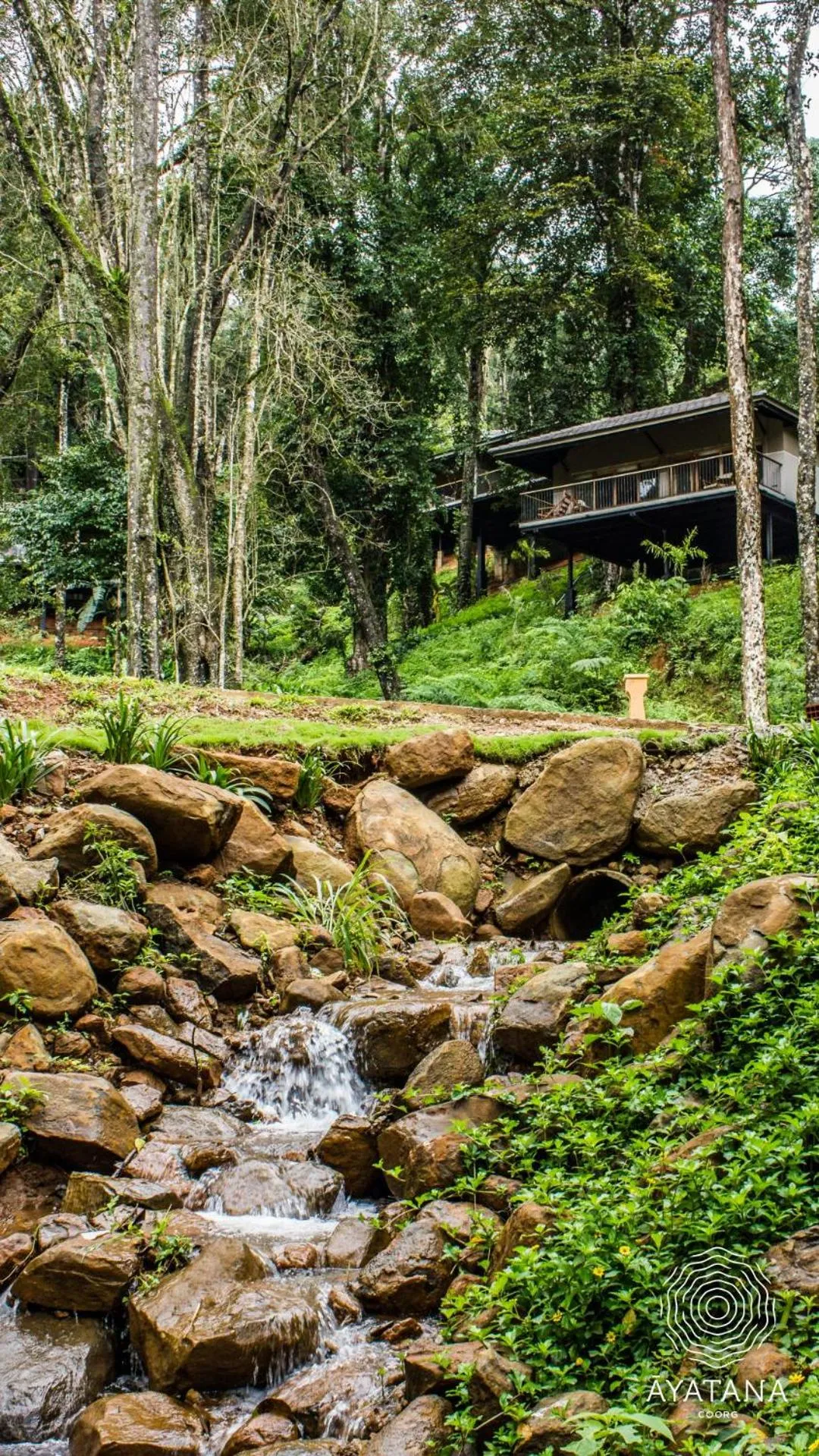 Natural landscape in Ayatana Coorg