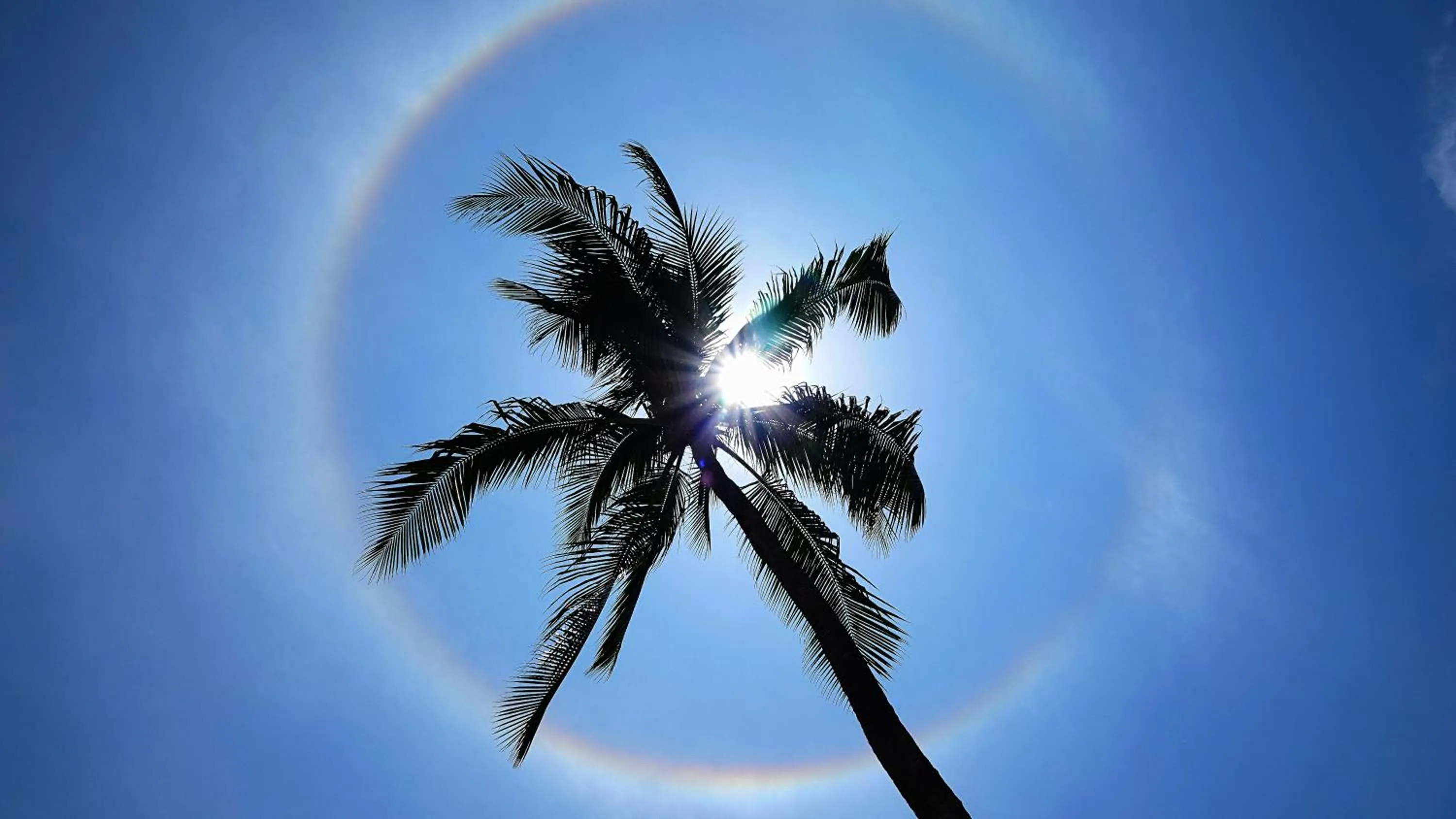 Garden view in Thanya Beach Resort - SHA Plus