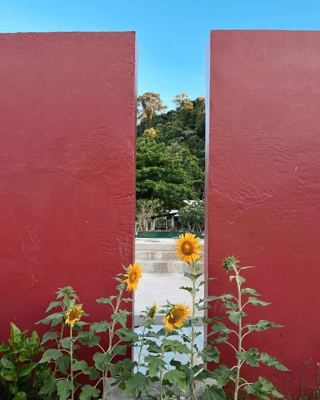 Swimming pool in Thanya Beach Resort - SHA Plus