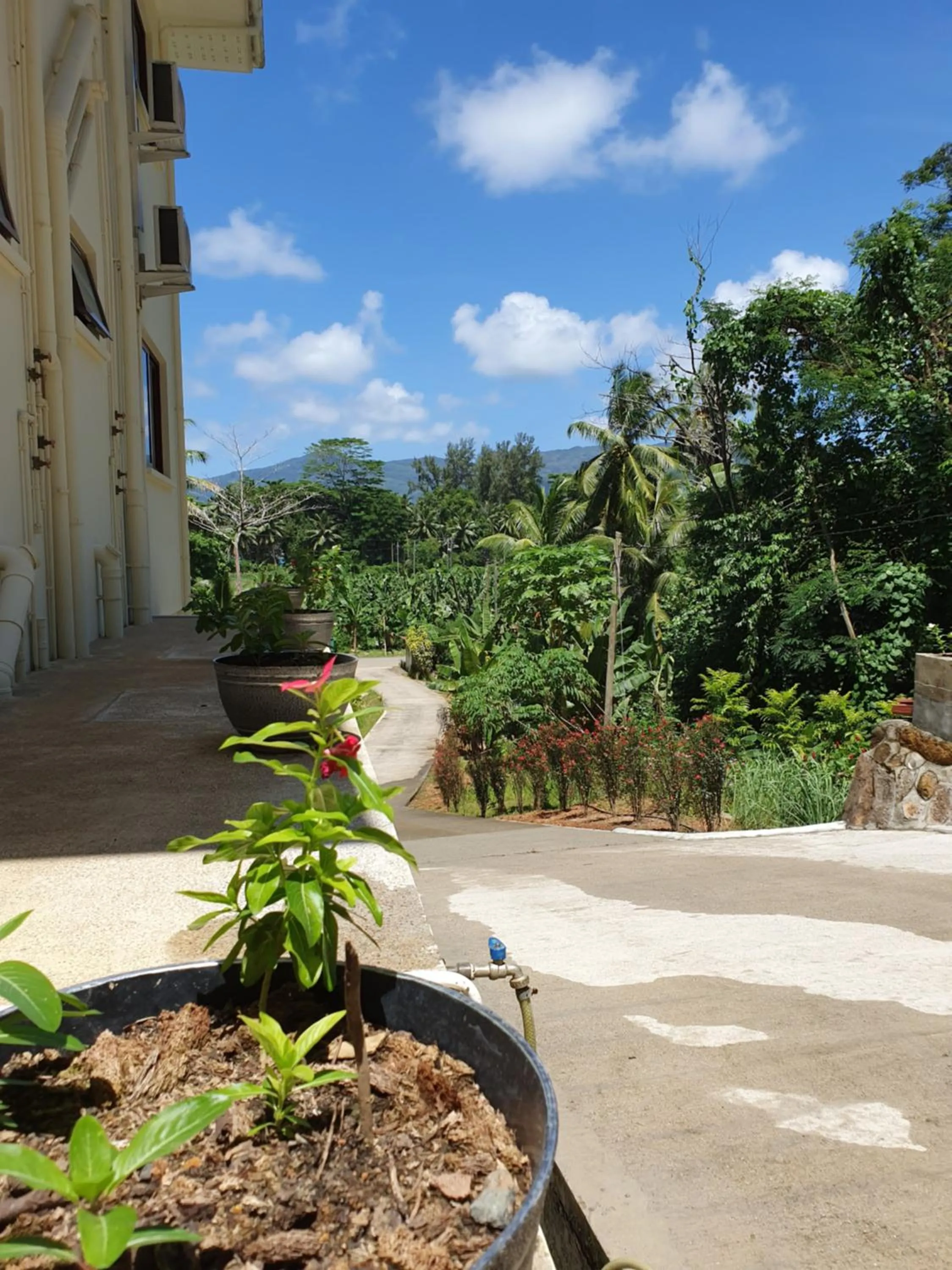 Patio in Kanasuk Self catering Apartments
