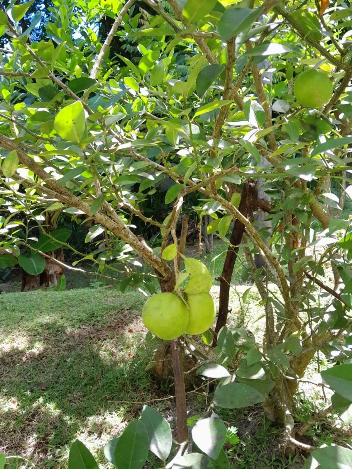 Spring in Kanasuk Self catering Apartments